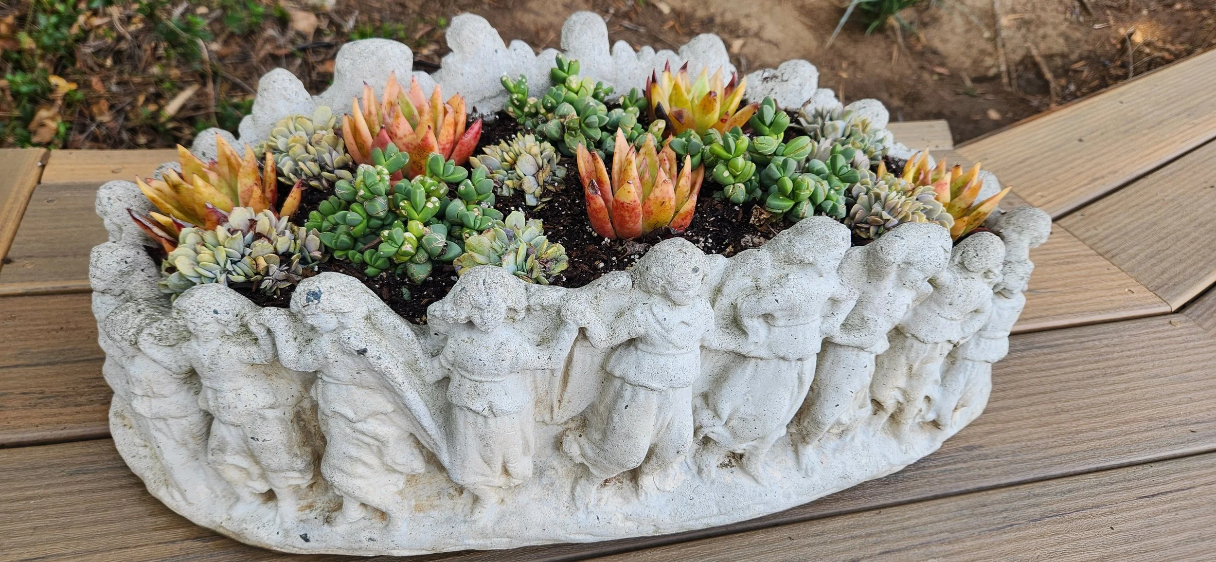 20250211_150856 - Copy (2).jpg