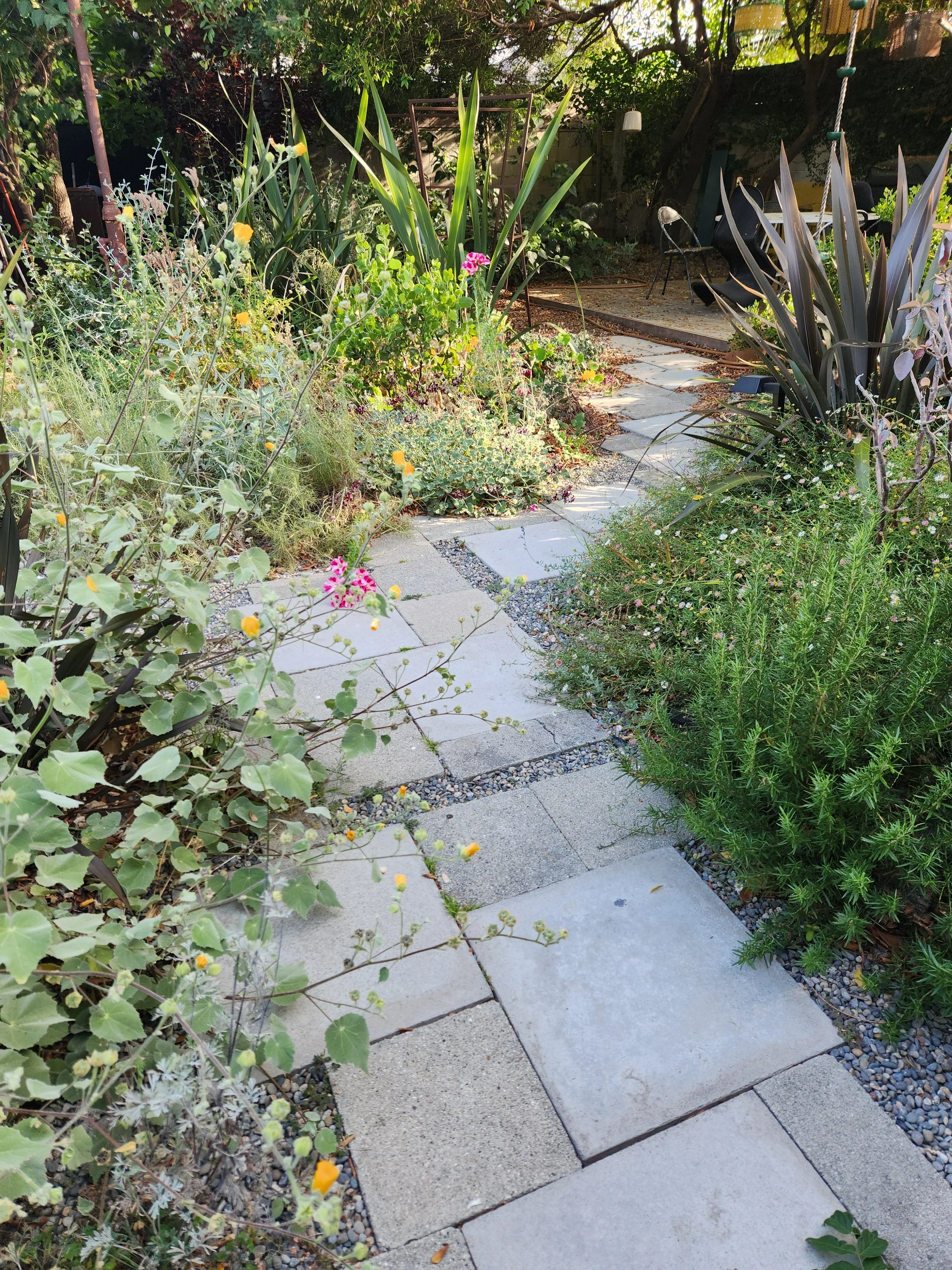 20240610_174502 - Copy.jpg