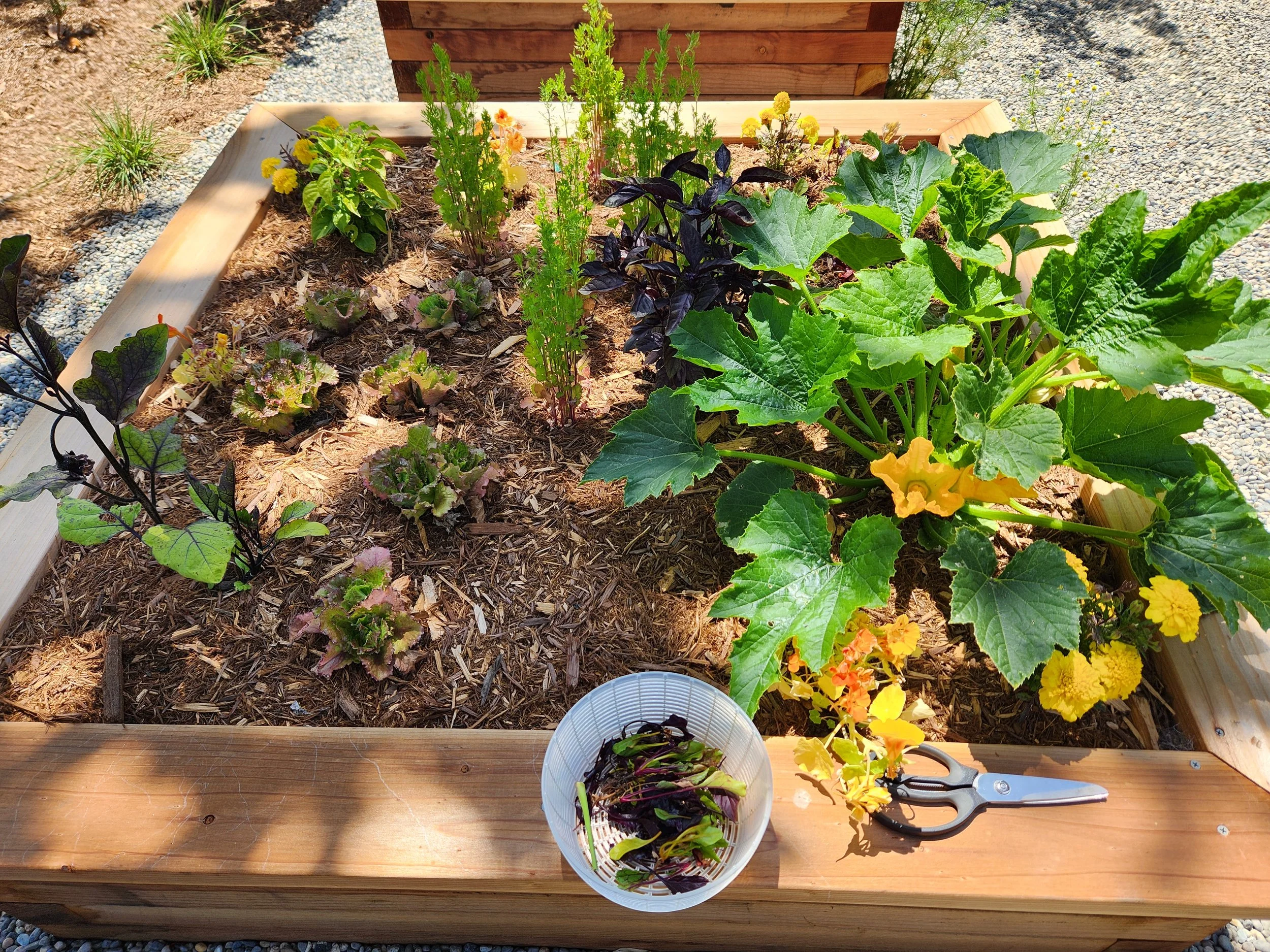 20240525_113438 - Copy.jpg