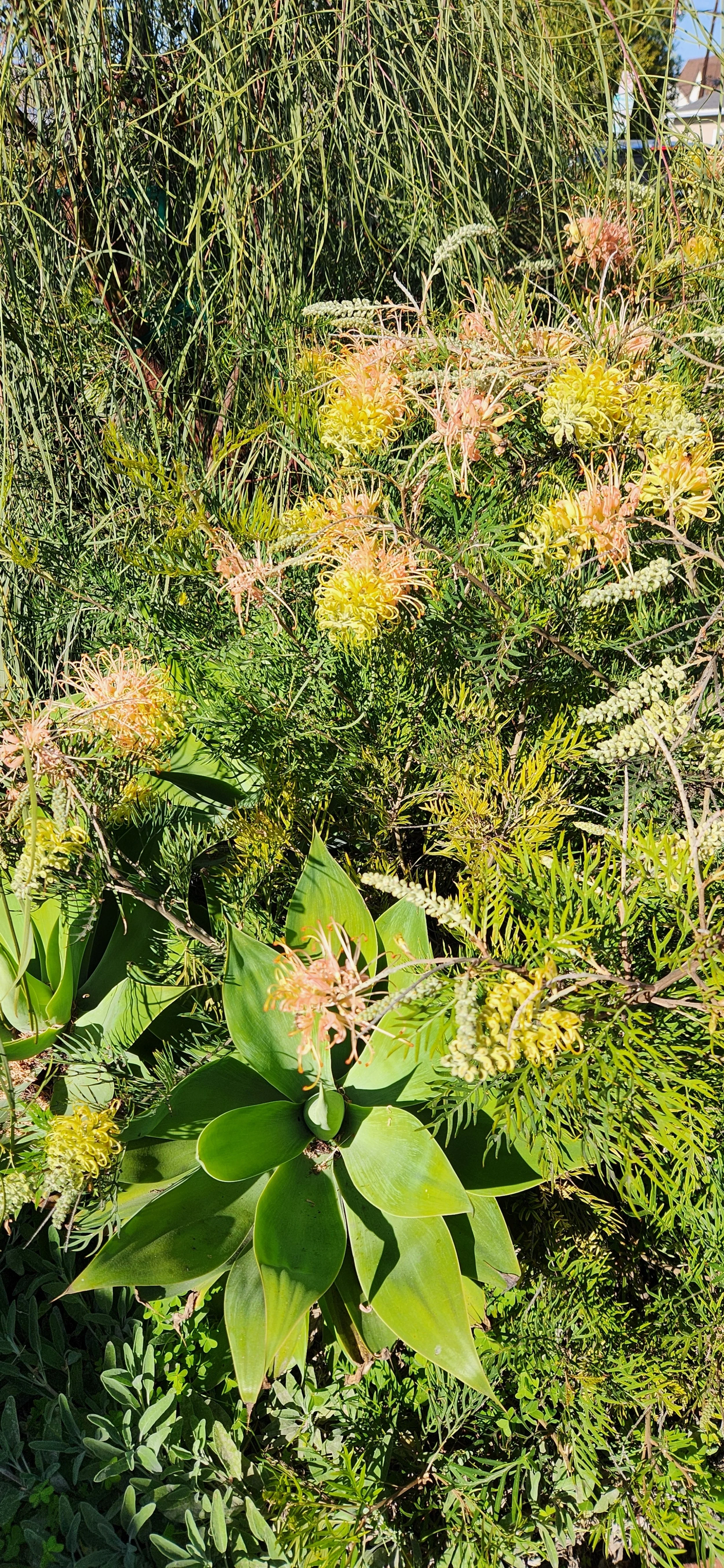 20250228_145014 - Copy (2).jpg