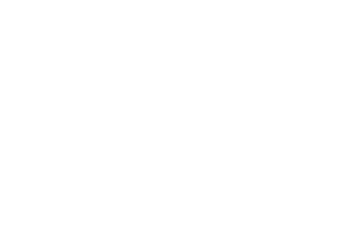 Lé Chic Chateau Salon