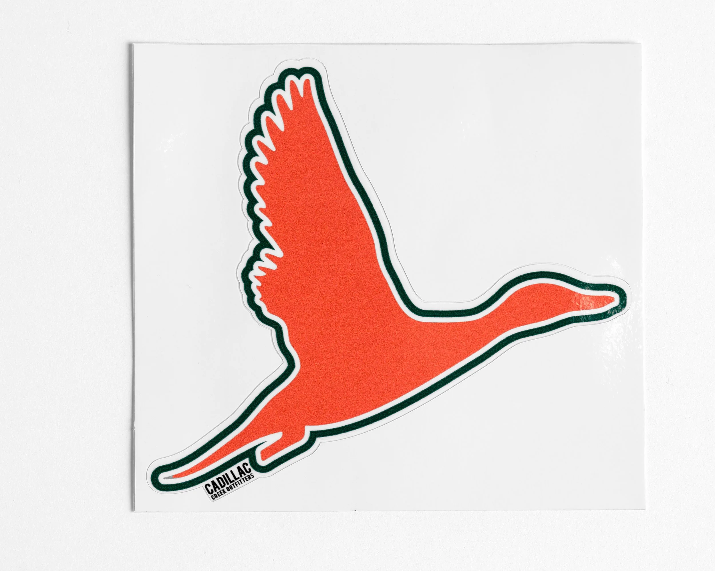 Pintail Sticker