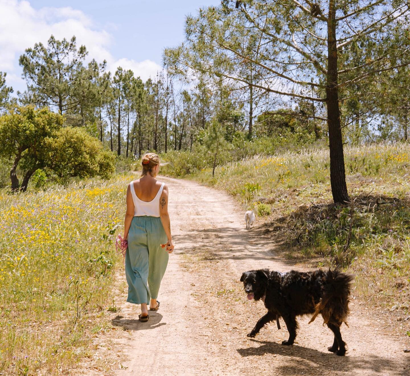 Silent communication.

Im Zusammenleben mit Tieren und vor allem mit meinem Hund Pavel erlebe ich jeden Tag eine Intensit&auml;t von Verbindung, die ohne Worte auskommt. Die direkt von Essenz zu Essenz stattfindet, die in einer Tiefe lebt, wo Worte n