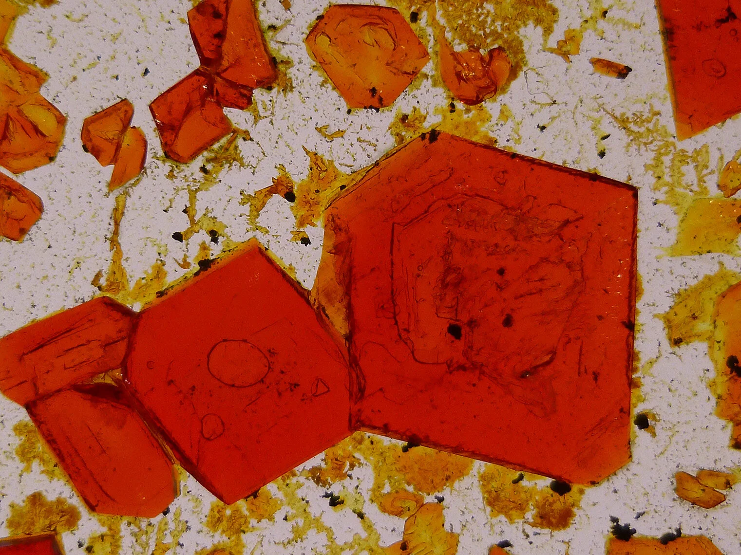 Potassium Ferricyanide Crystals 2 - xtsm.jpg