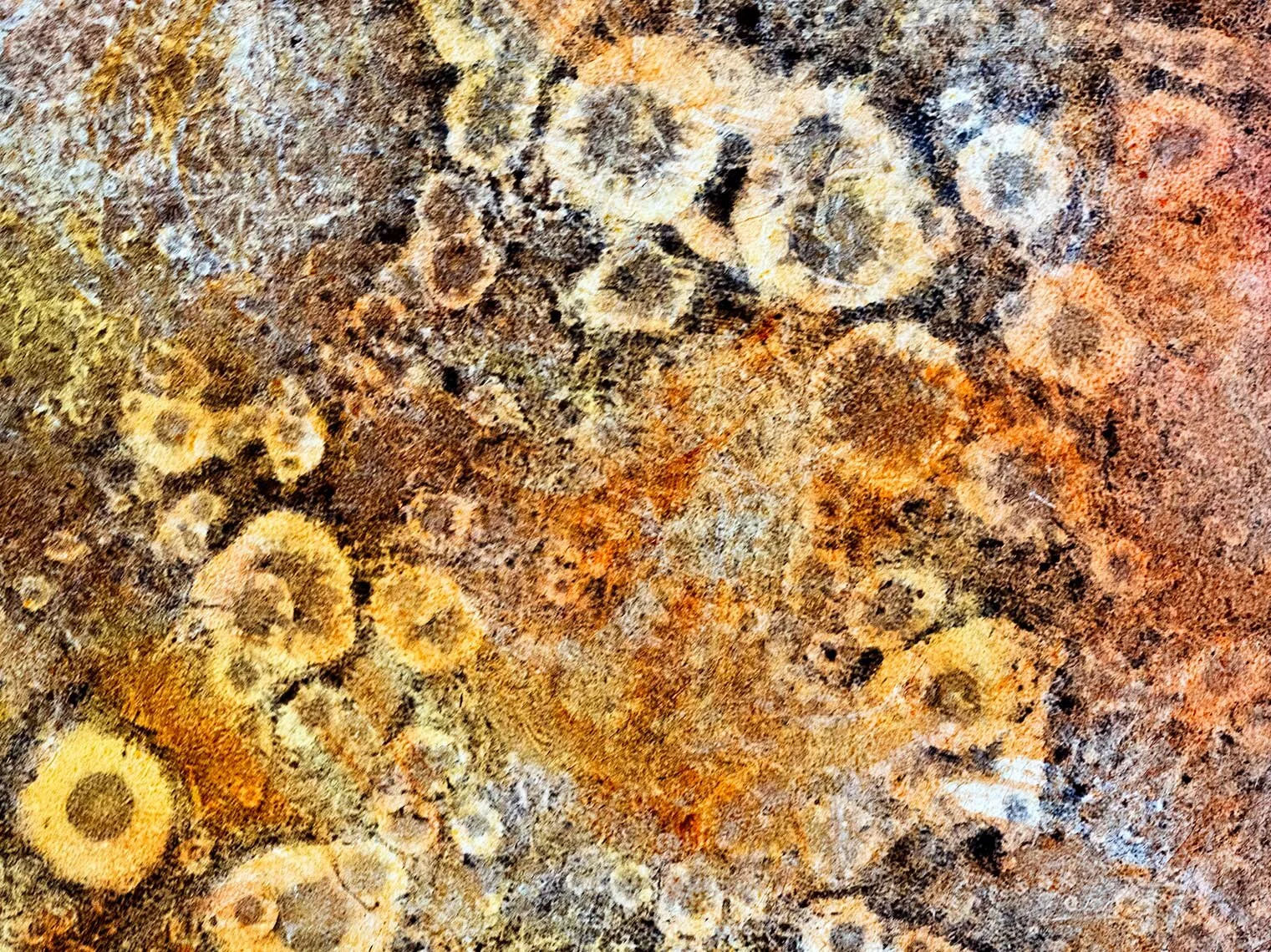 Masquerade Slide 12 xtsm.jpg