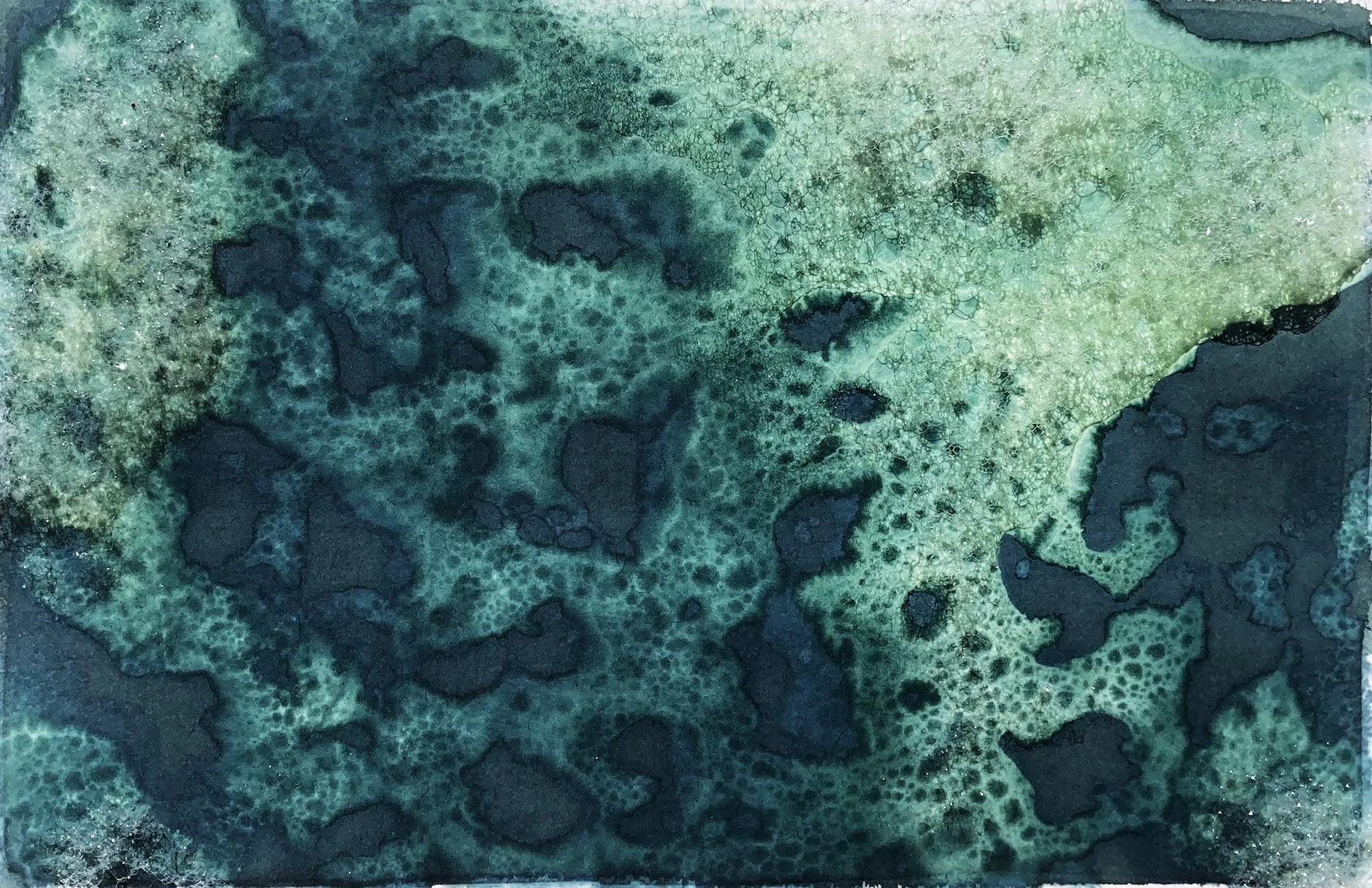 Alternative Photographic Processes