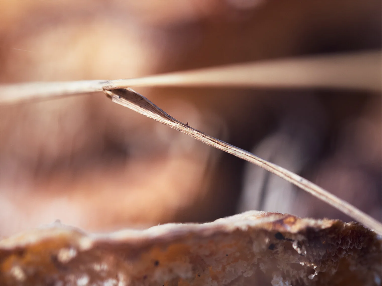 Zig-zag Art 2 - xtsm.jpg