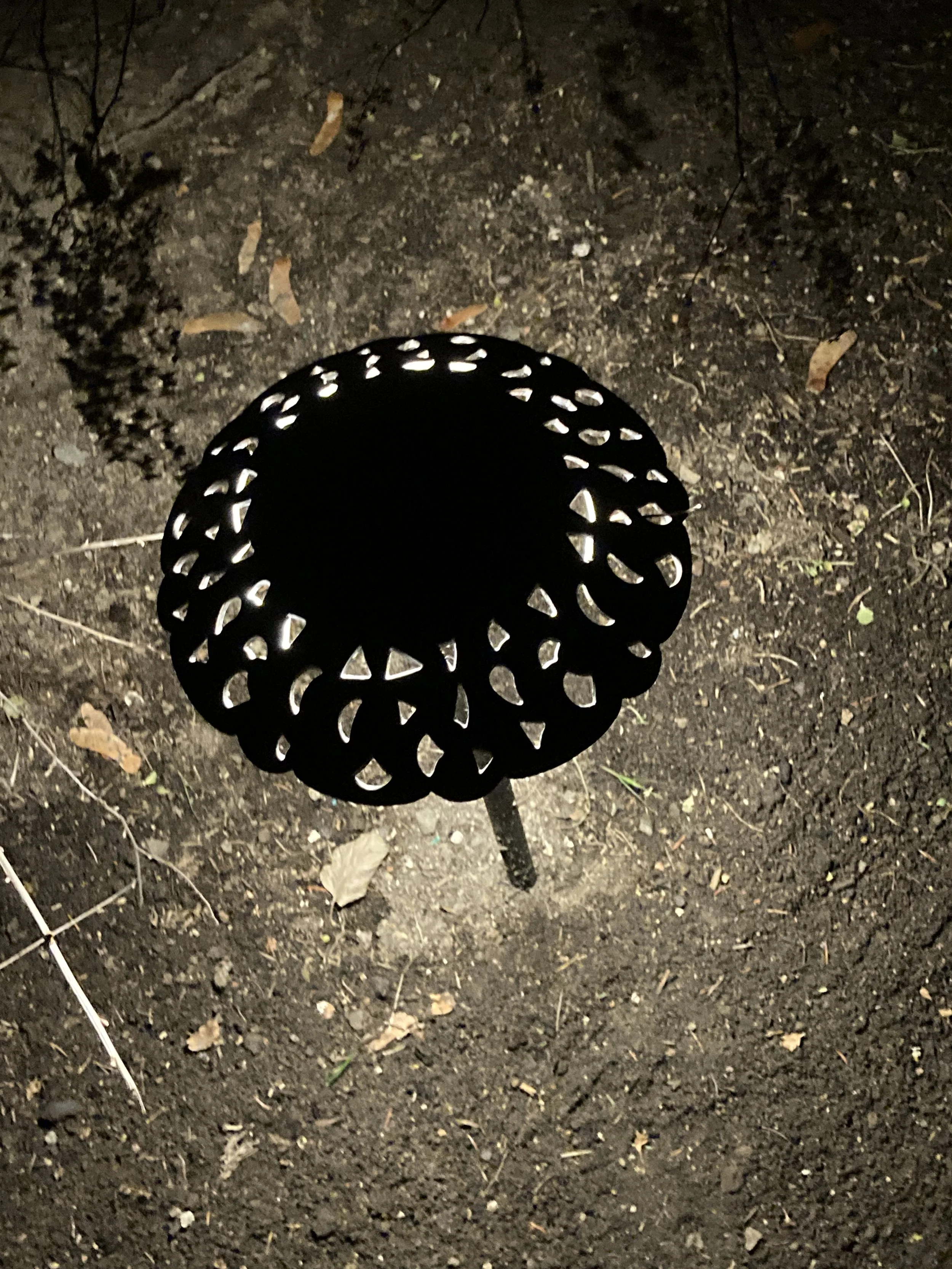 Found yard lighting, Virginia 2023