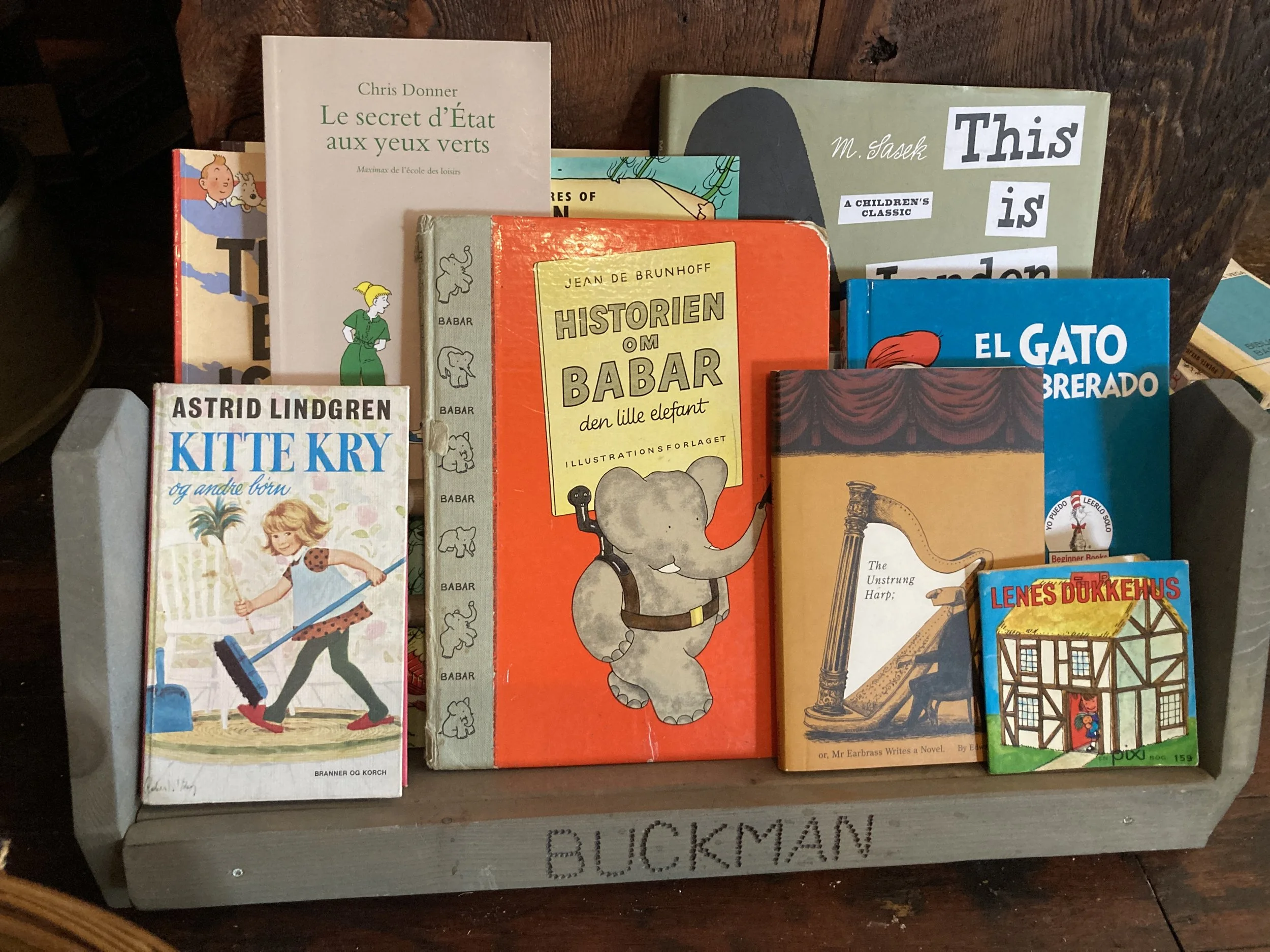 Multilingual children's literature display at Mother Foucault's Bookshop, Portland, OR