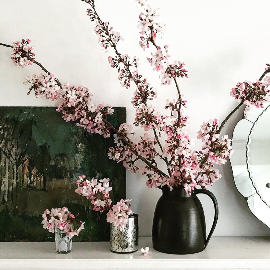 Pretty spring blossom