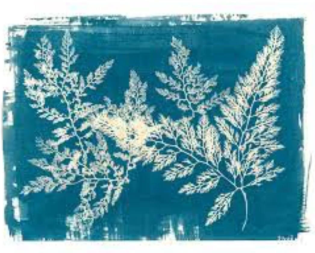 “Forests of the Sea” Art and education workshop