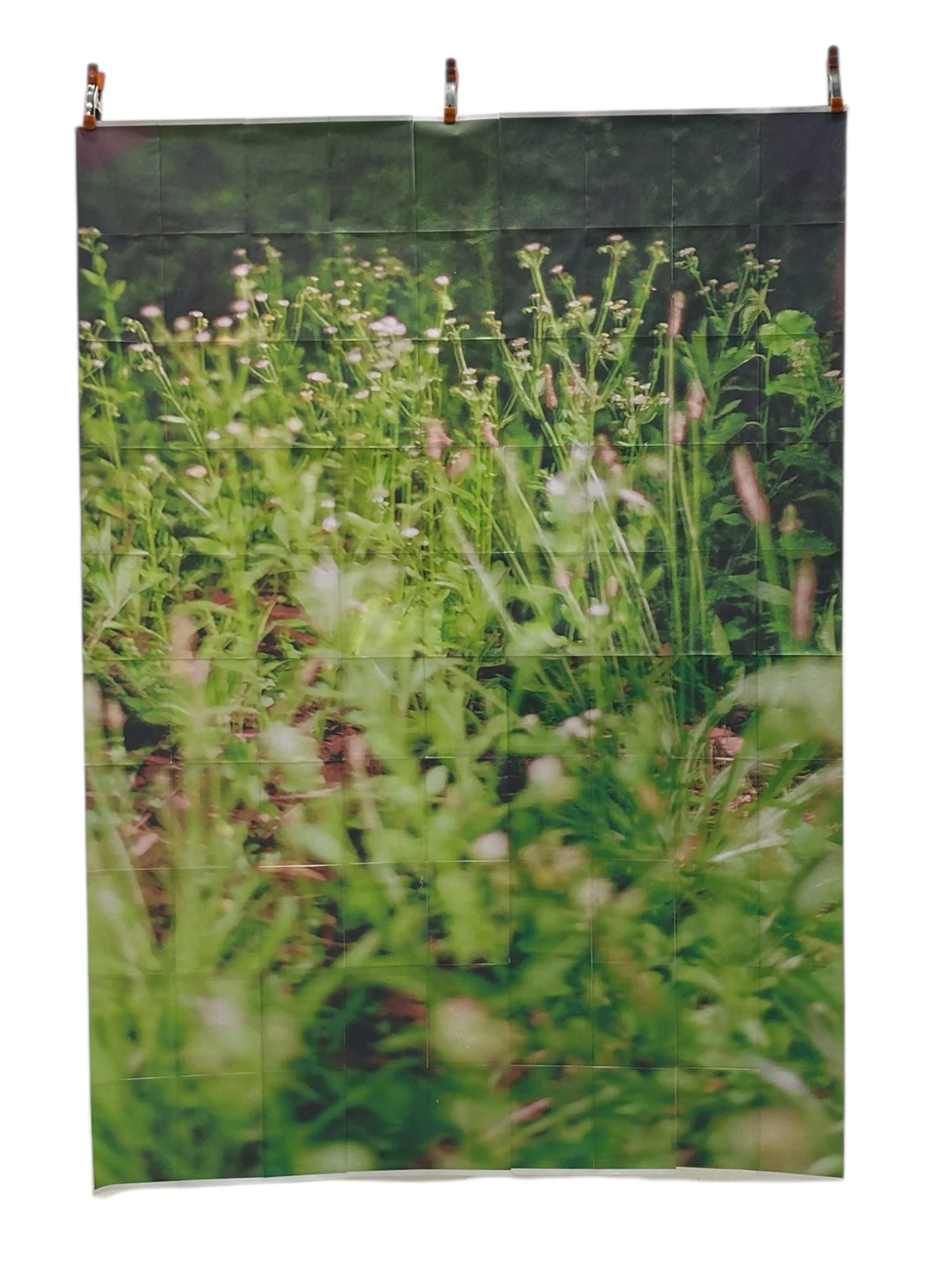 Katie’s Grids/Commission’s Only 9x7ft