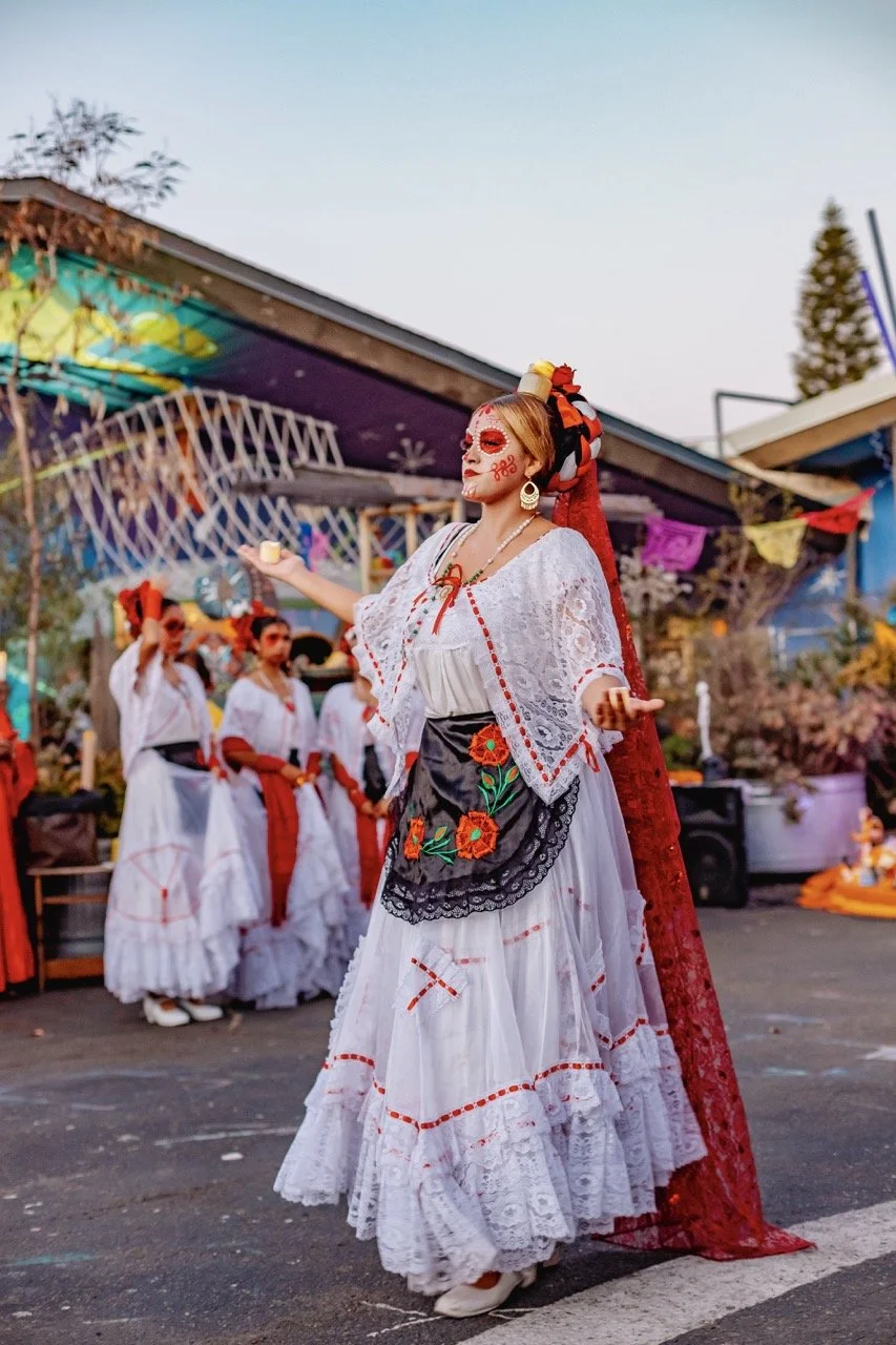 DDLM25-65 Large.jpeg