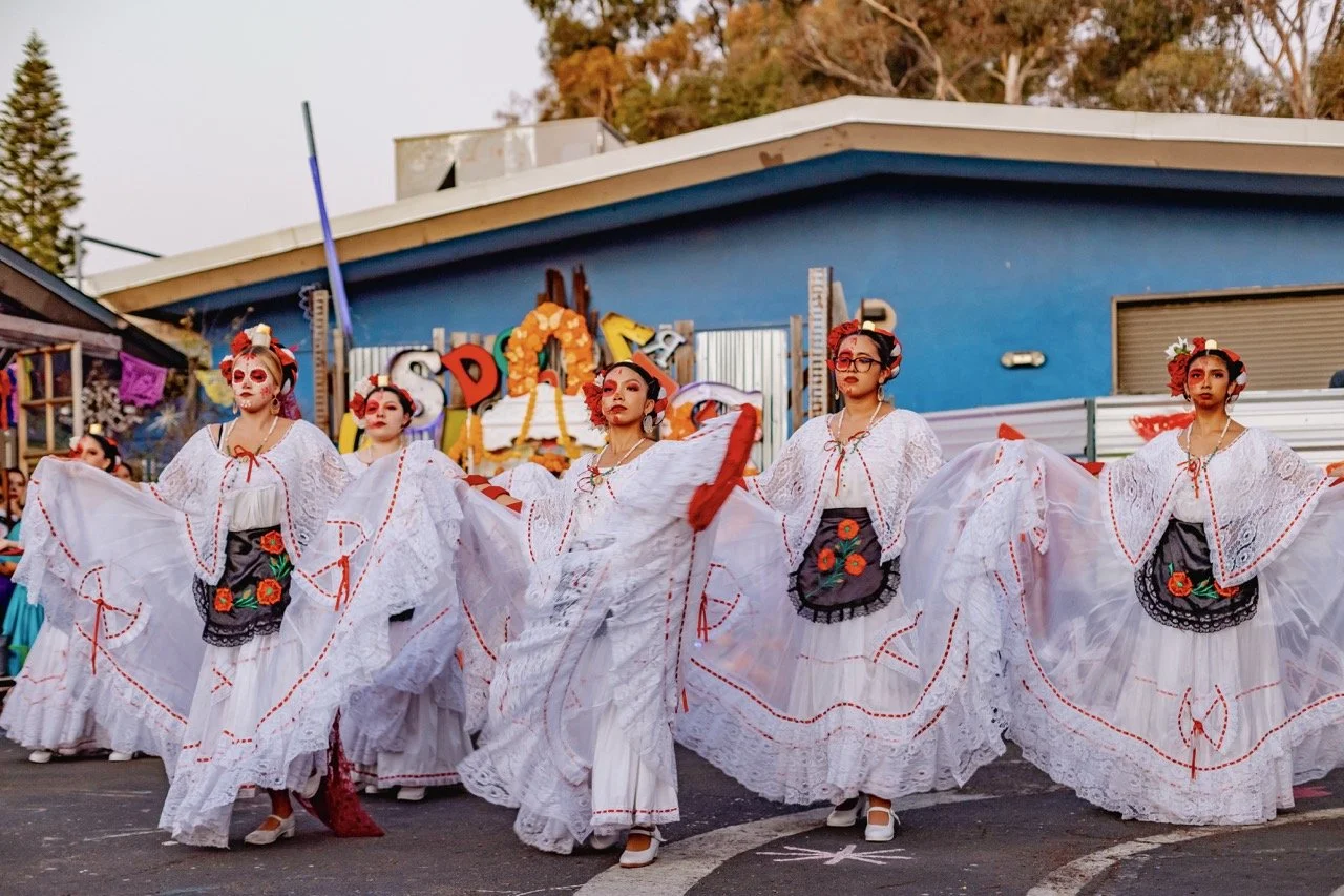 DDLM25-66 Large.jpeg