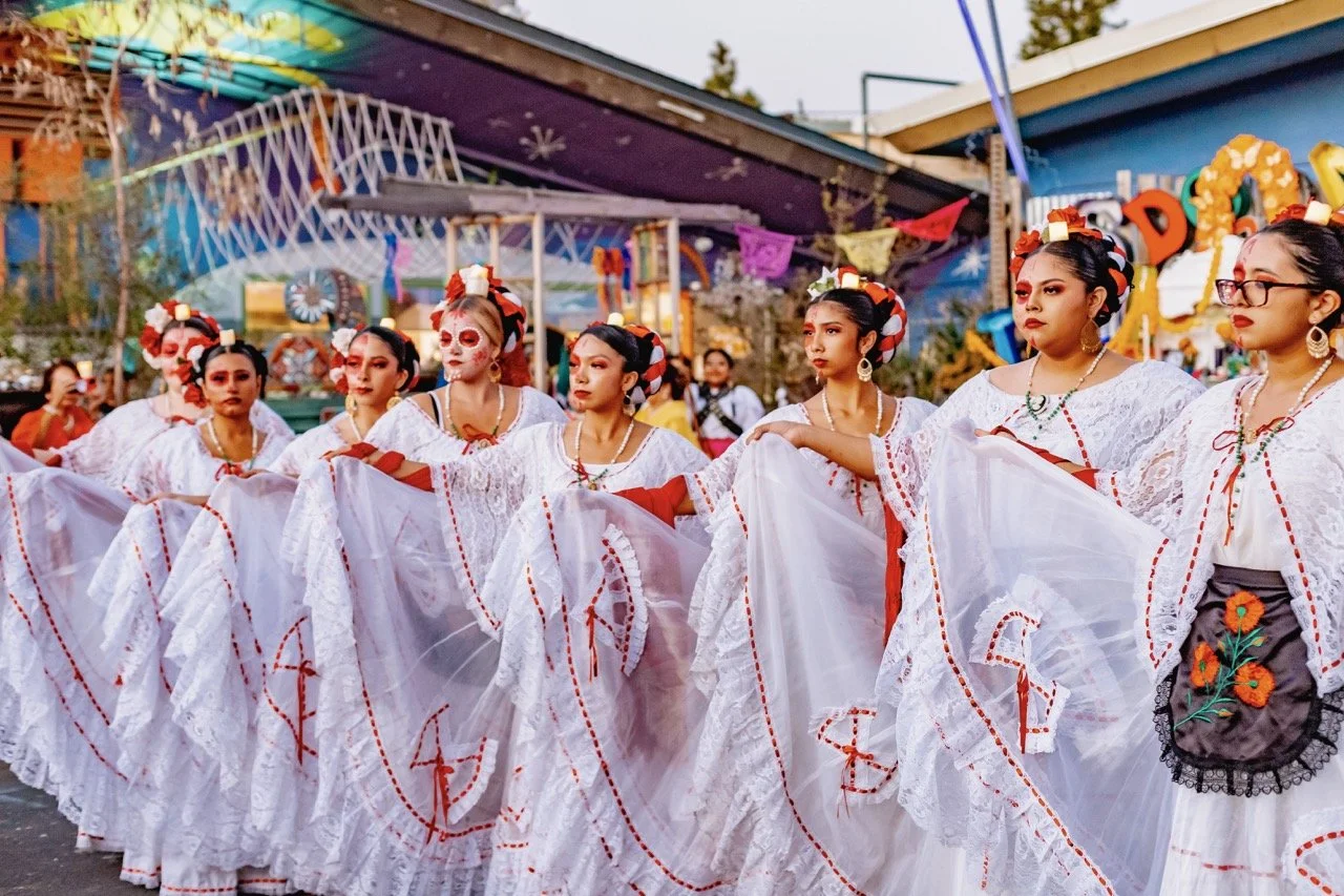 DDLM25-70 Large.jpeg