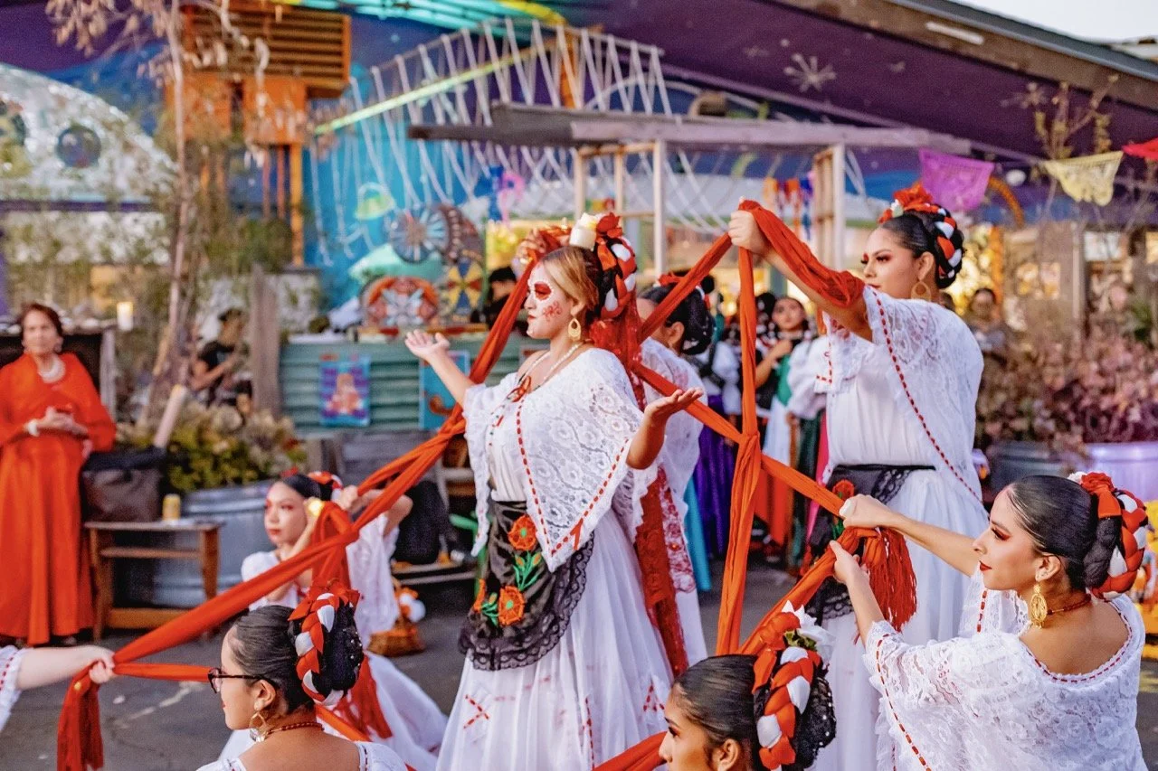 DDLM25-72 Large.jpeg