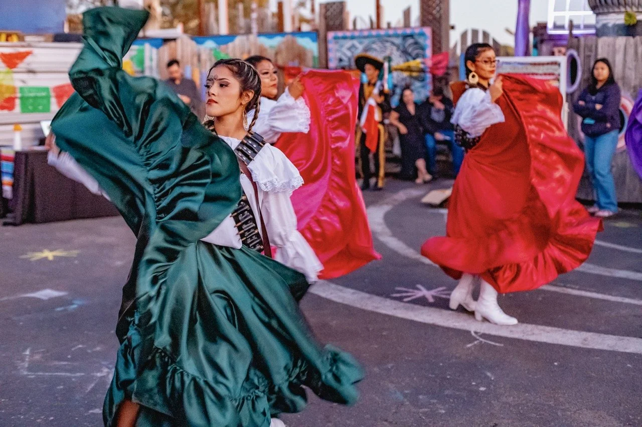 DDLM25-75 Large.jpeg