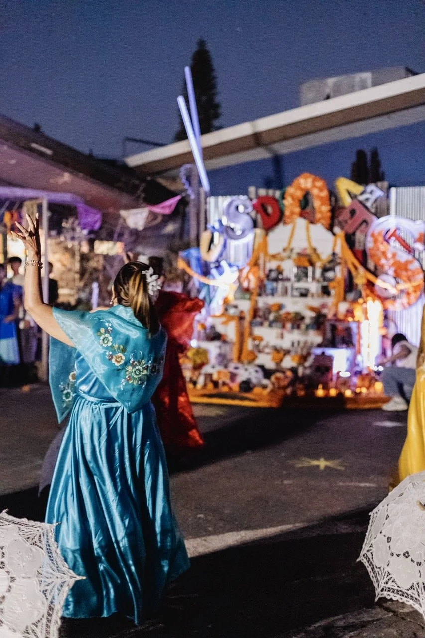 DDLM25-84 Large.jpeg