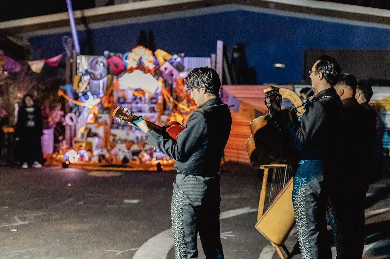 DDLM25-105 Large.jpeg