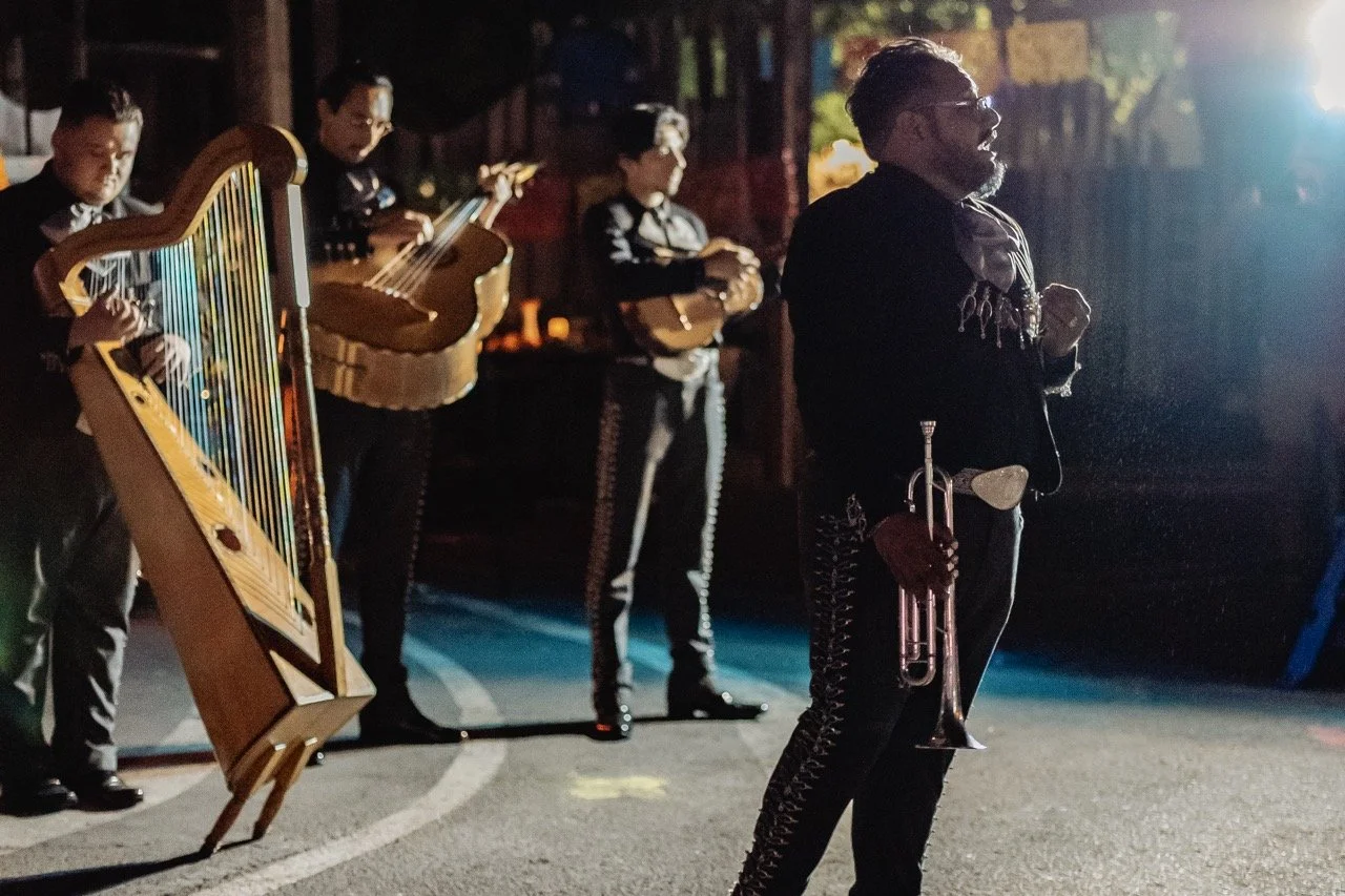 DDLM25-106 Large.jpeg