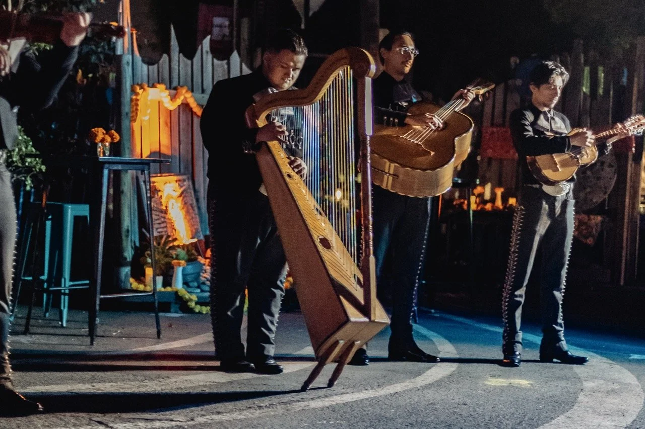 DDLM25-107 Large.jpeg