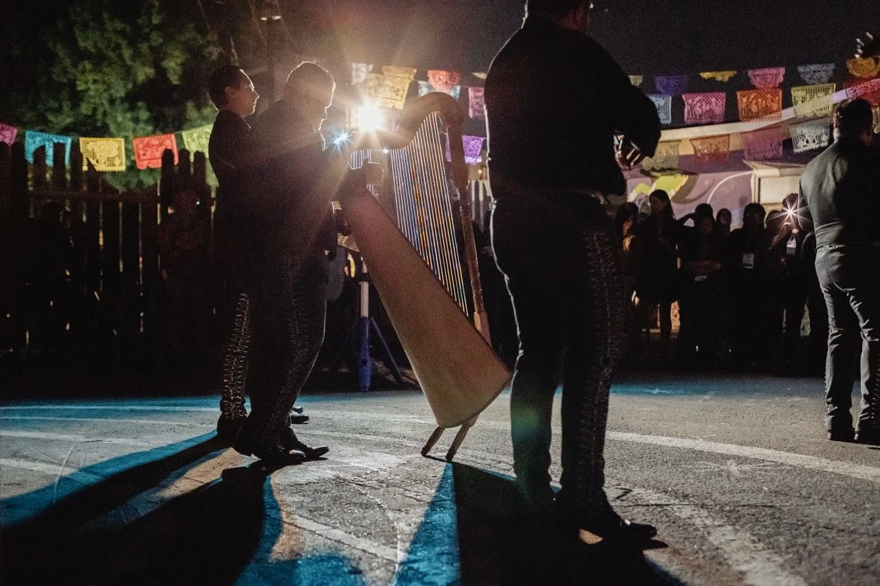 DDLM25-108 Large.jpeg