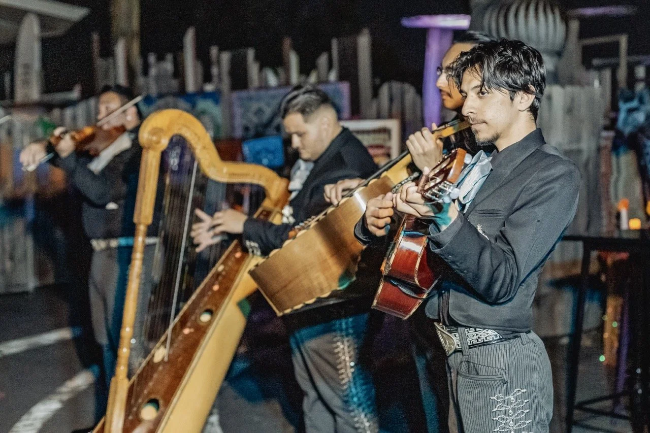 DDLM25-109 Large.jpeg