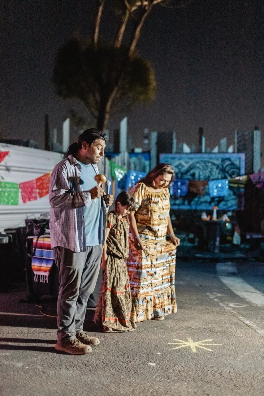 DDLM25-115 Large.jpeg