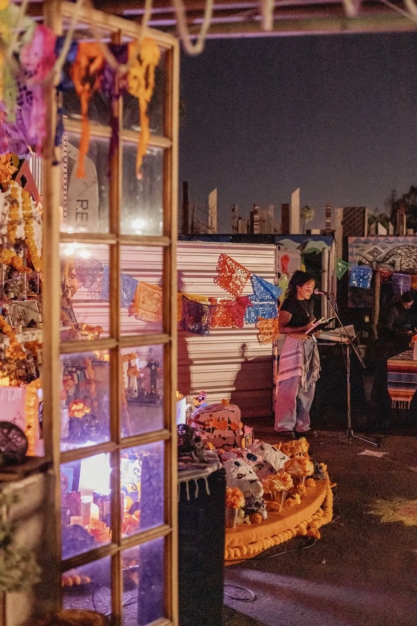 DDLM25-96 Large.jpeg