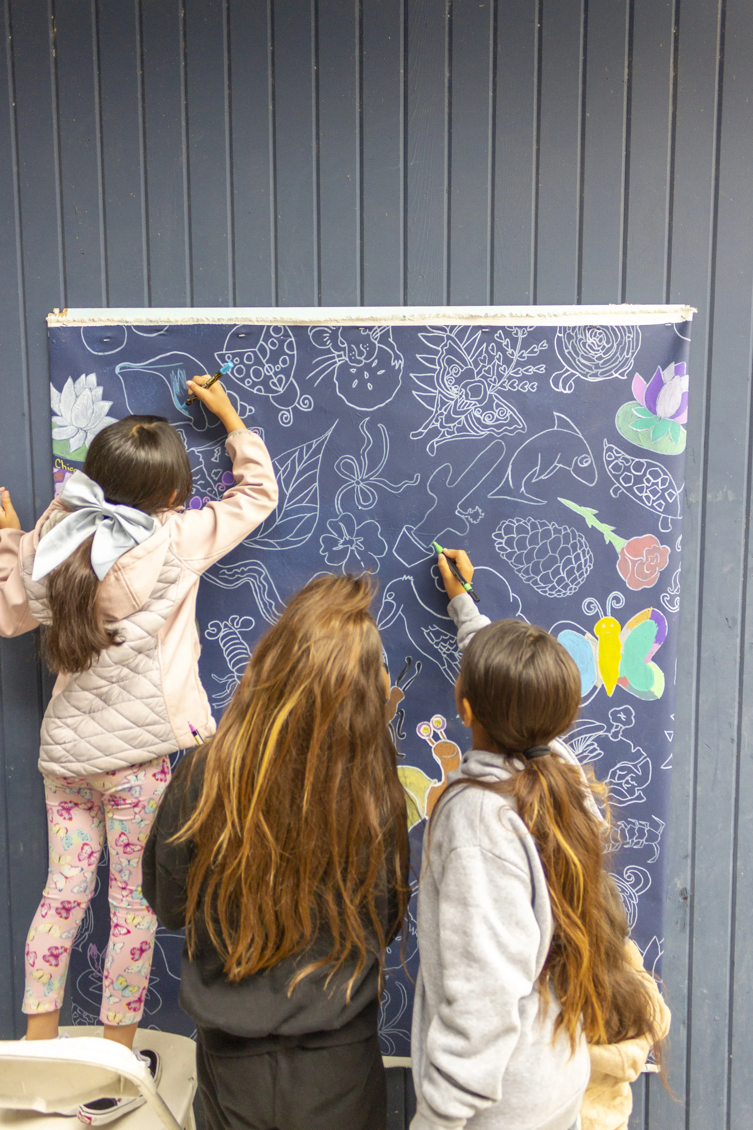 SP25 YAF-37 MarthaAnn Rolandelli.jpg