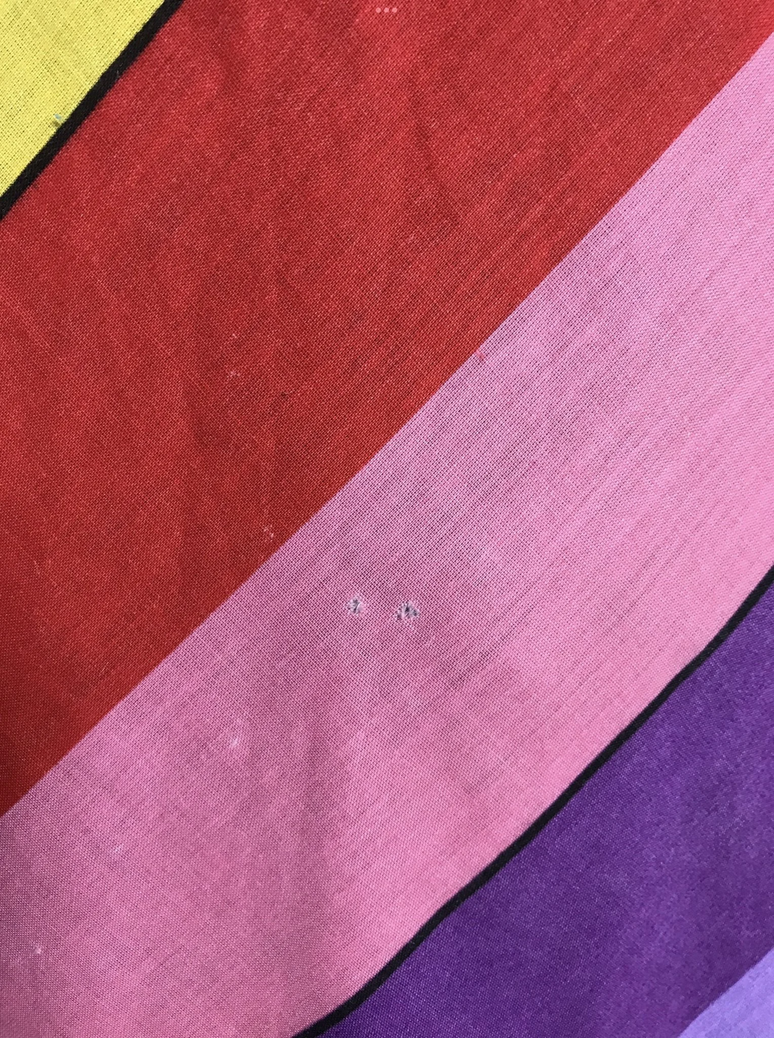 IMG_7547.jpeg