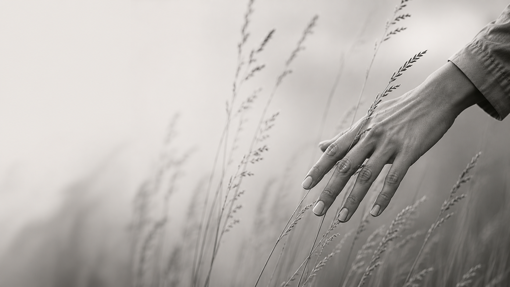Black-and-white image of a hand gently brushing through tall grass, evoking attentiveness, nervous system awareness, and a gentle whole-self approach to somatic trauma therapy and integration.