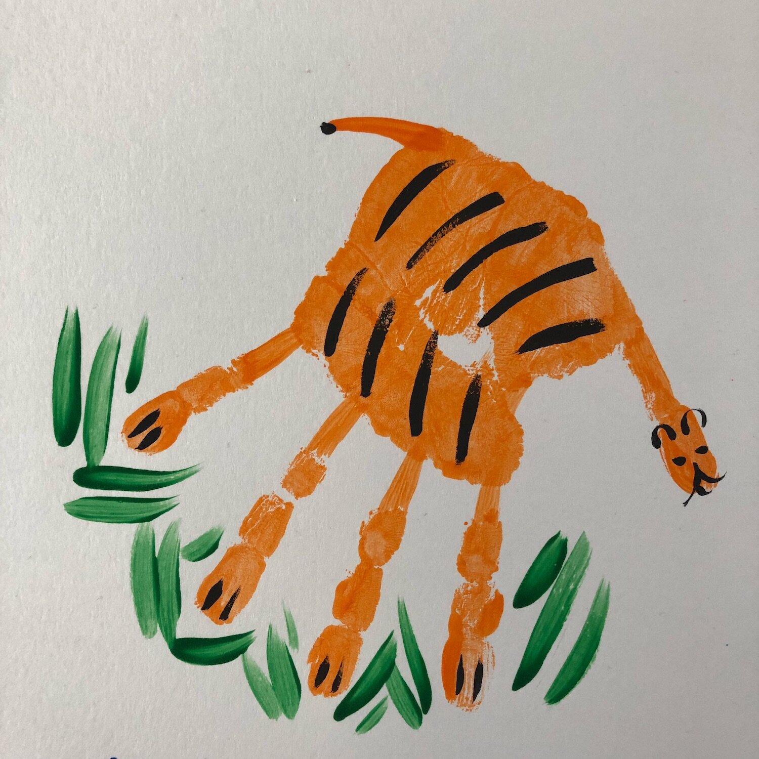 Tiger-Handimal-Sarah-Ransome-Art.jpg