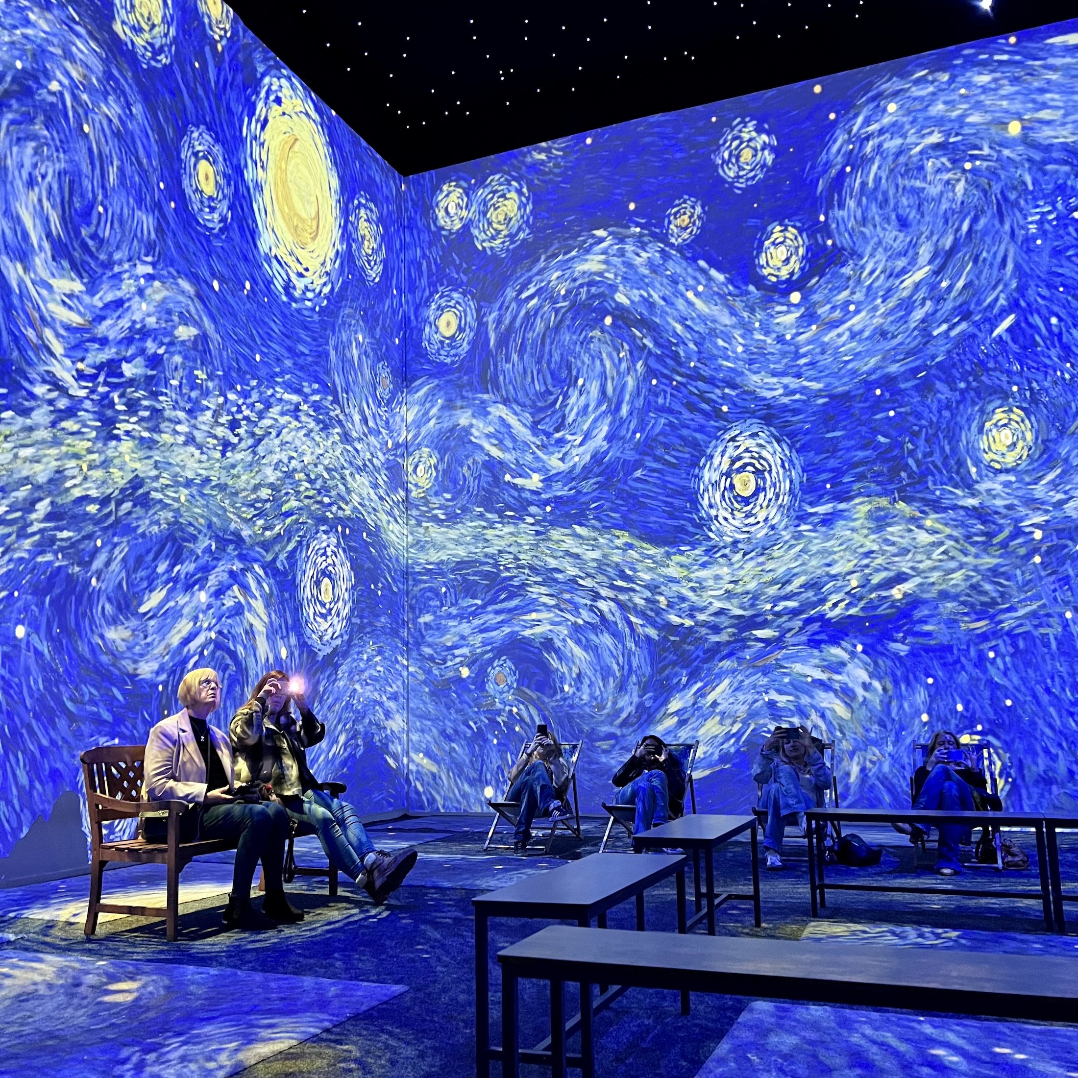 Van Gogh The Immersive Experience - Projections