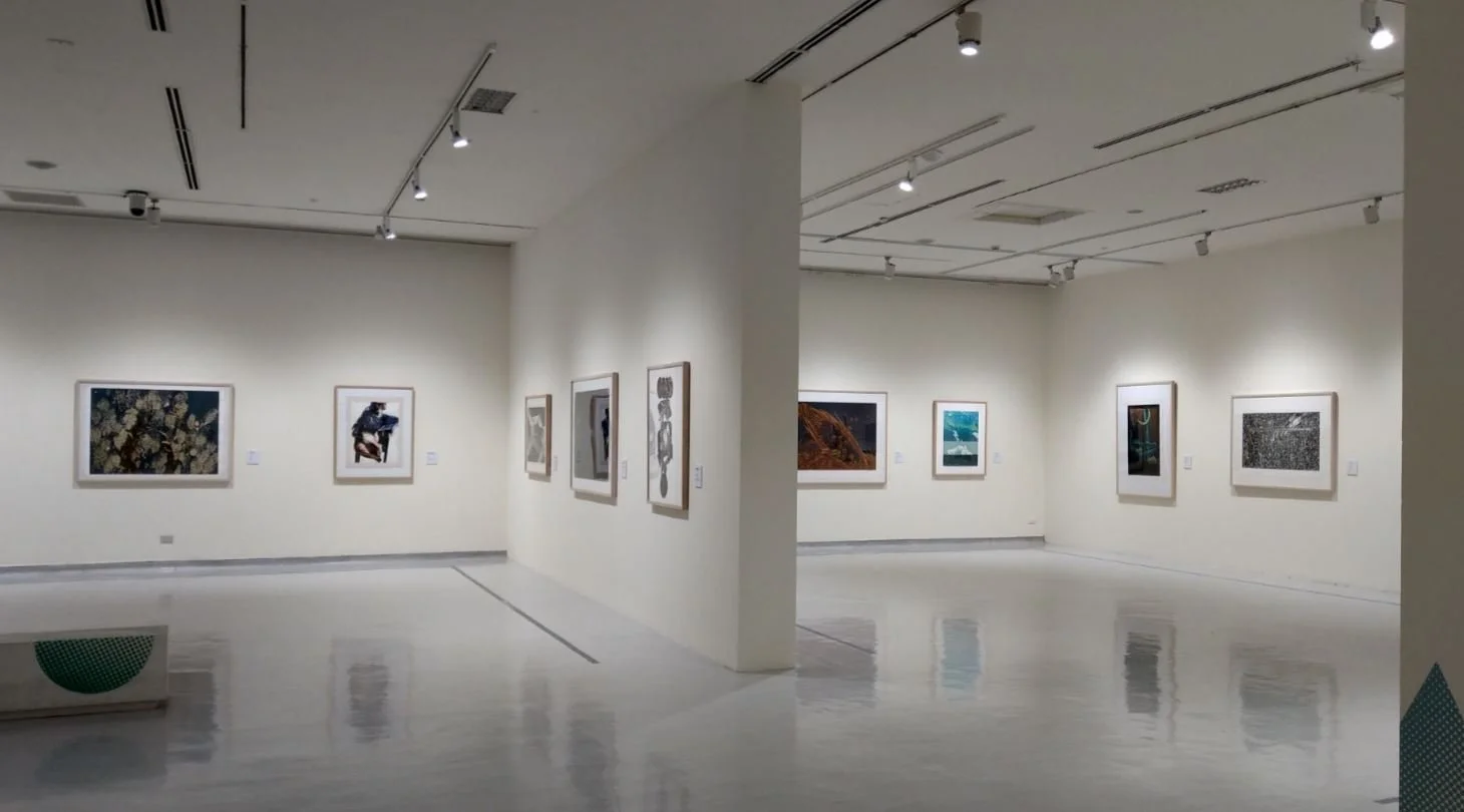 What is the difference between an Art Gallery and an Art Museum ...