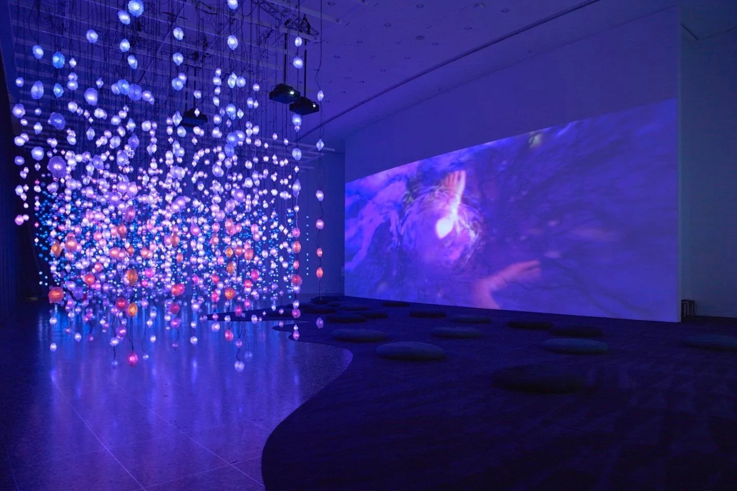 The Best Immersive Art Experiences in Houston, Texas — Sarah Ransome Art