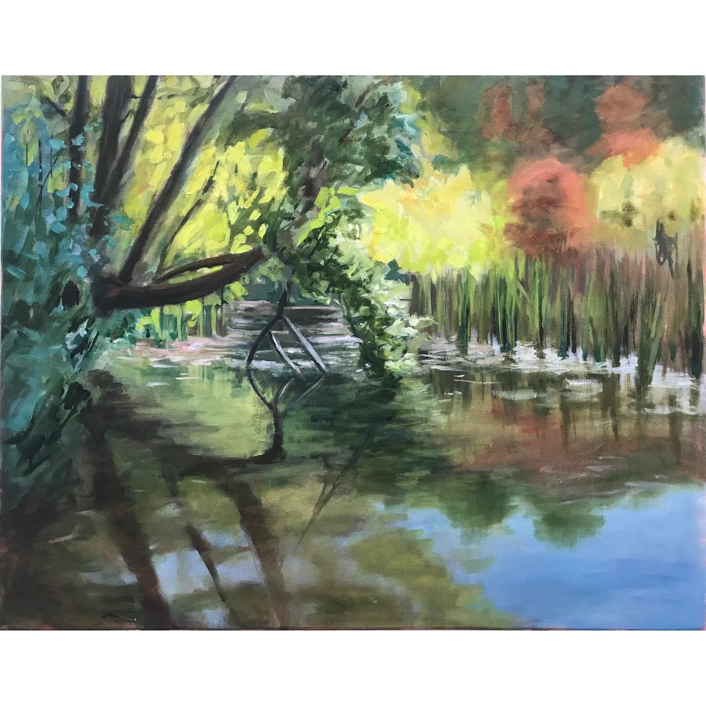 Where the Wood Ducks Hide