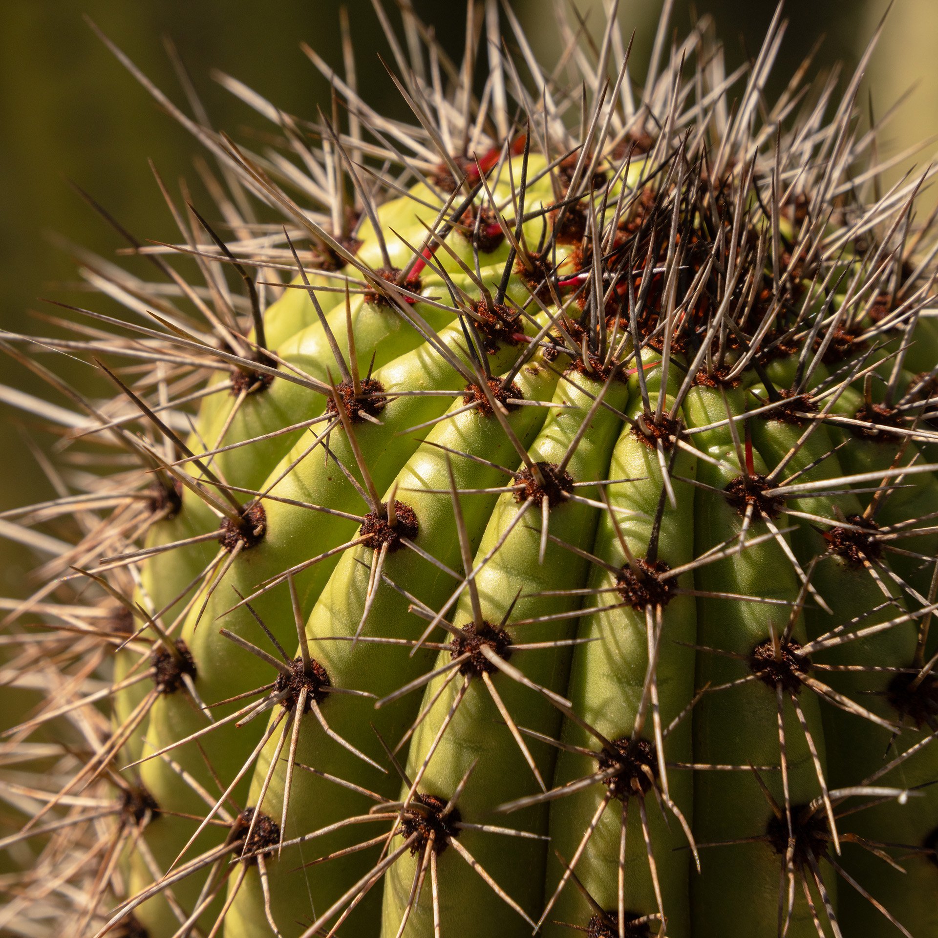 pointing (2024) #402