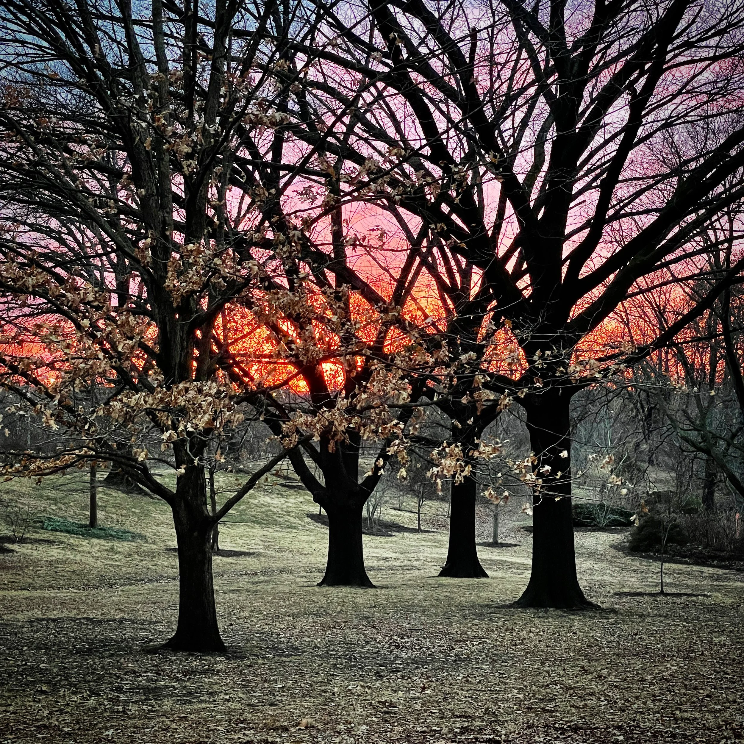 4) quartet (2021) 18"x18"x1" $180