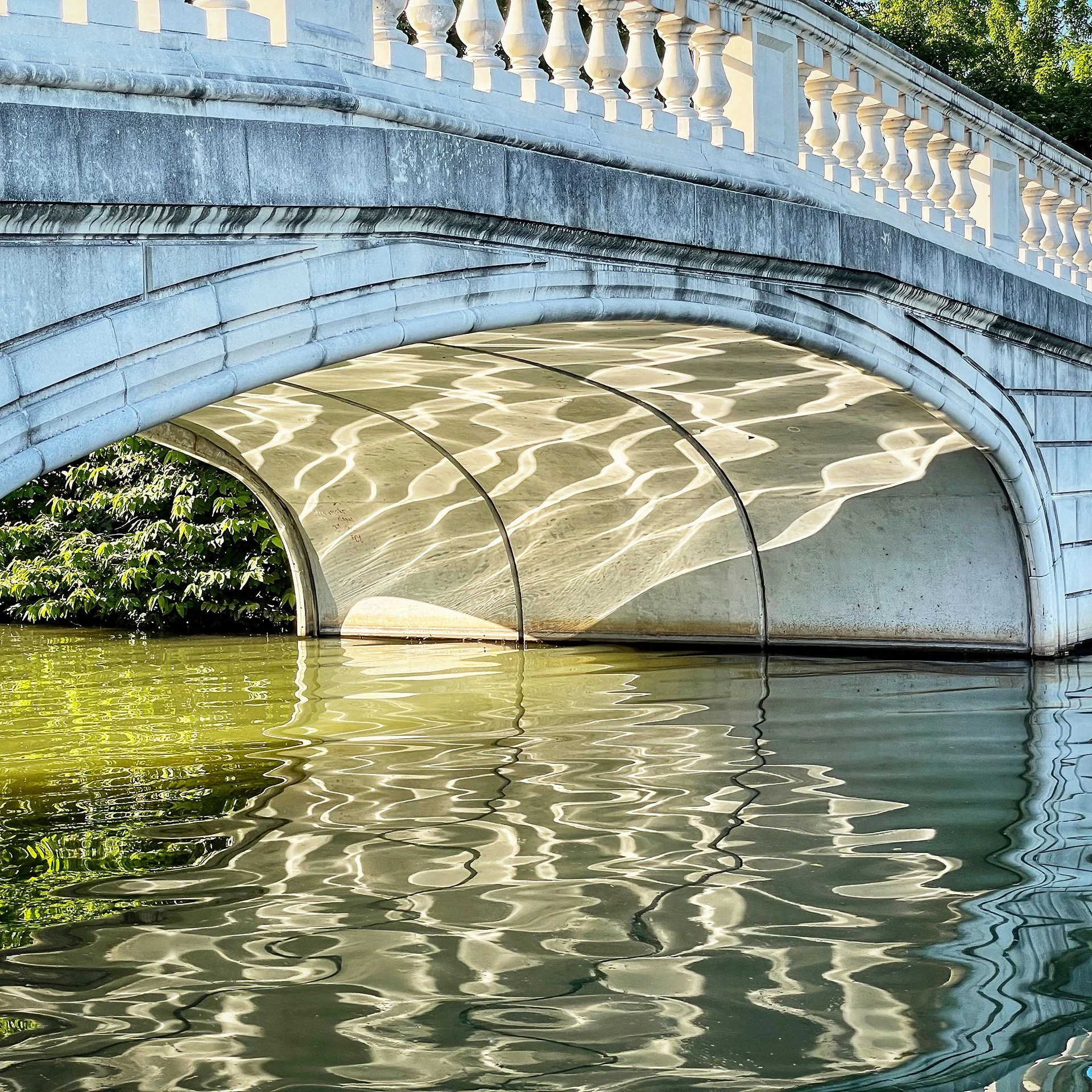 Celebrating Forest Park at 150! A Solo Exhibition