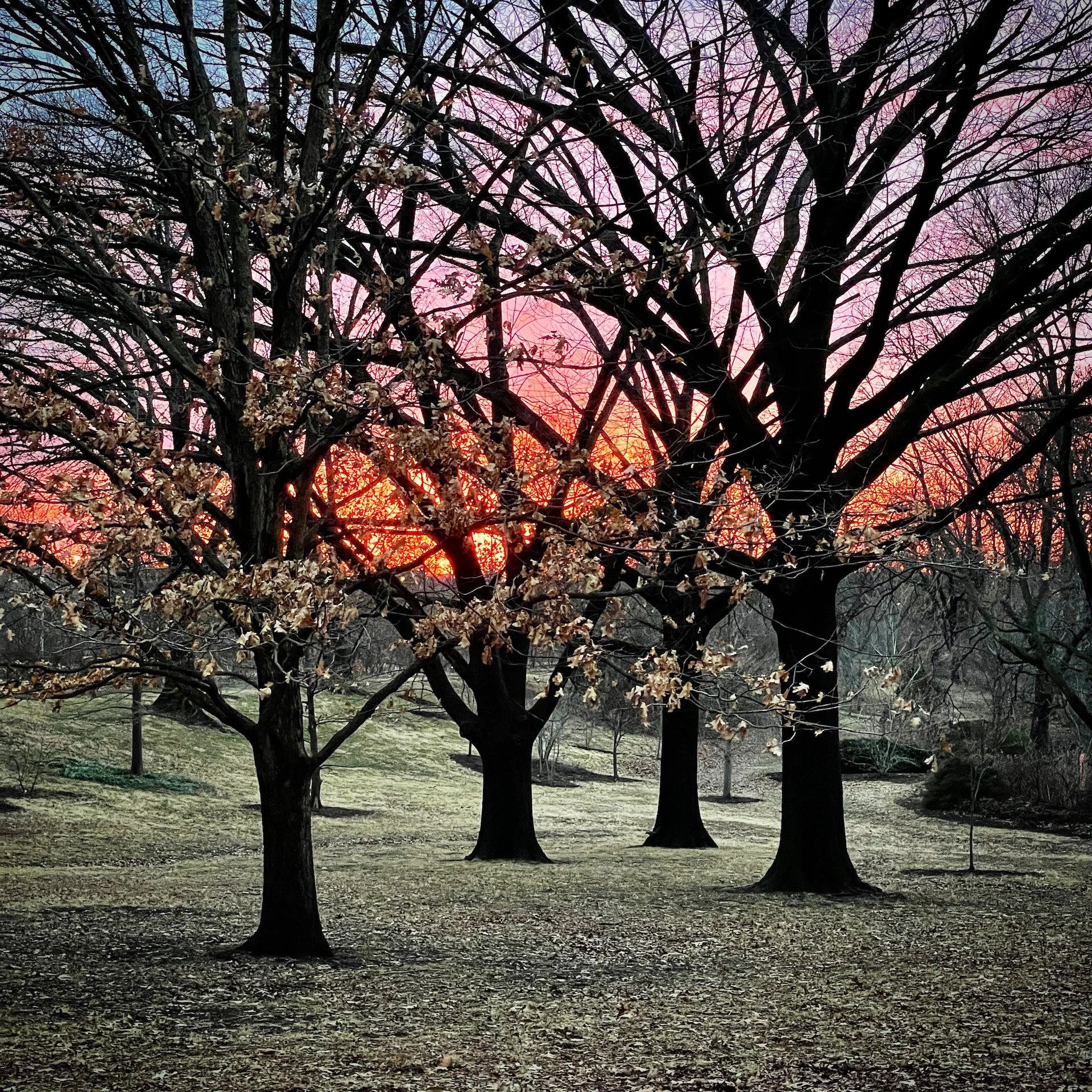 Shaw Nature Reserve Annual Art Show