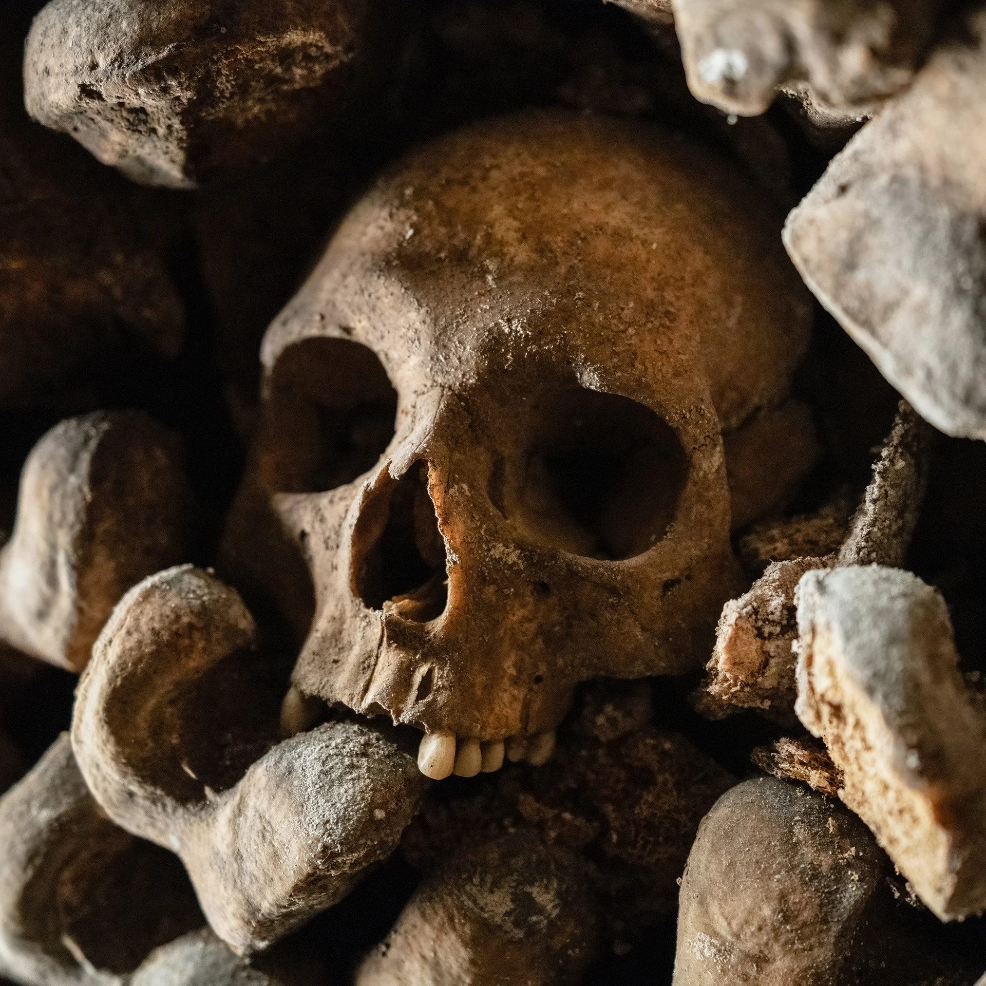 494926_how_did_i_get_here.catacombes_de_paris_un_web.jpg