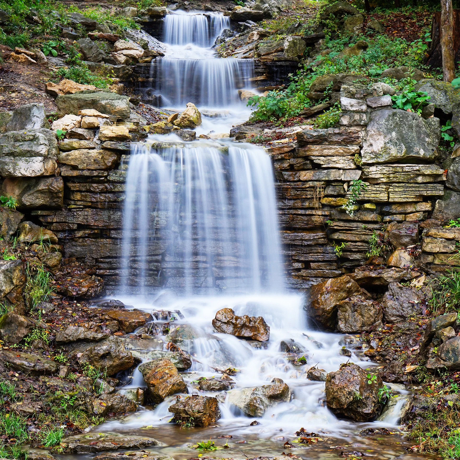 flegel falls (2025) #488