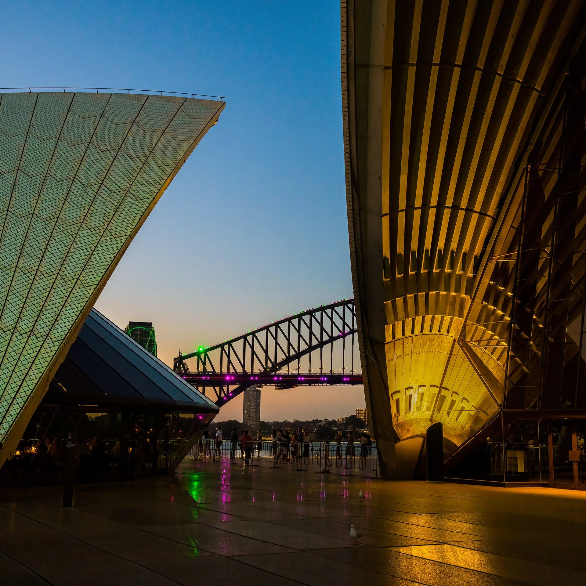 sails at dusk (2025) #463