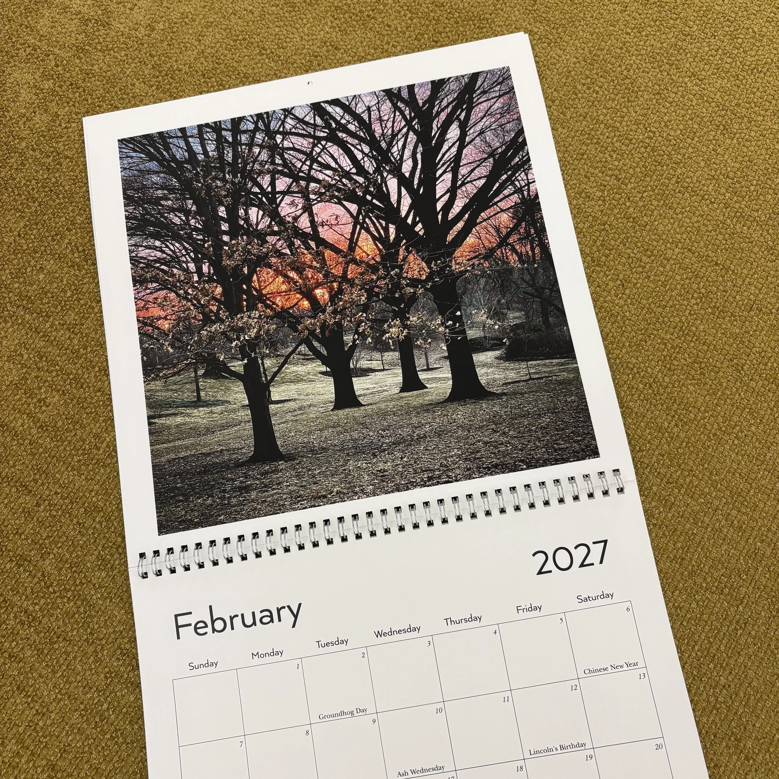 quartet (2021) Forest Park, St. Louis
