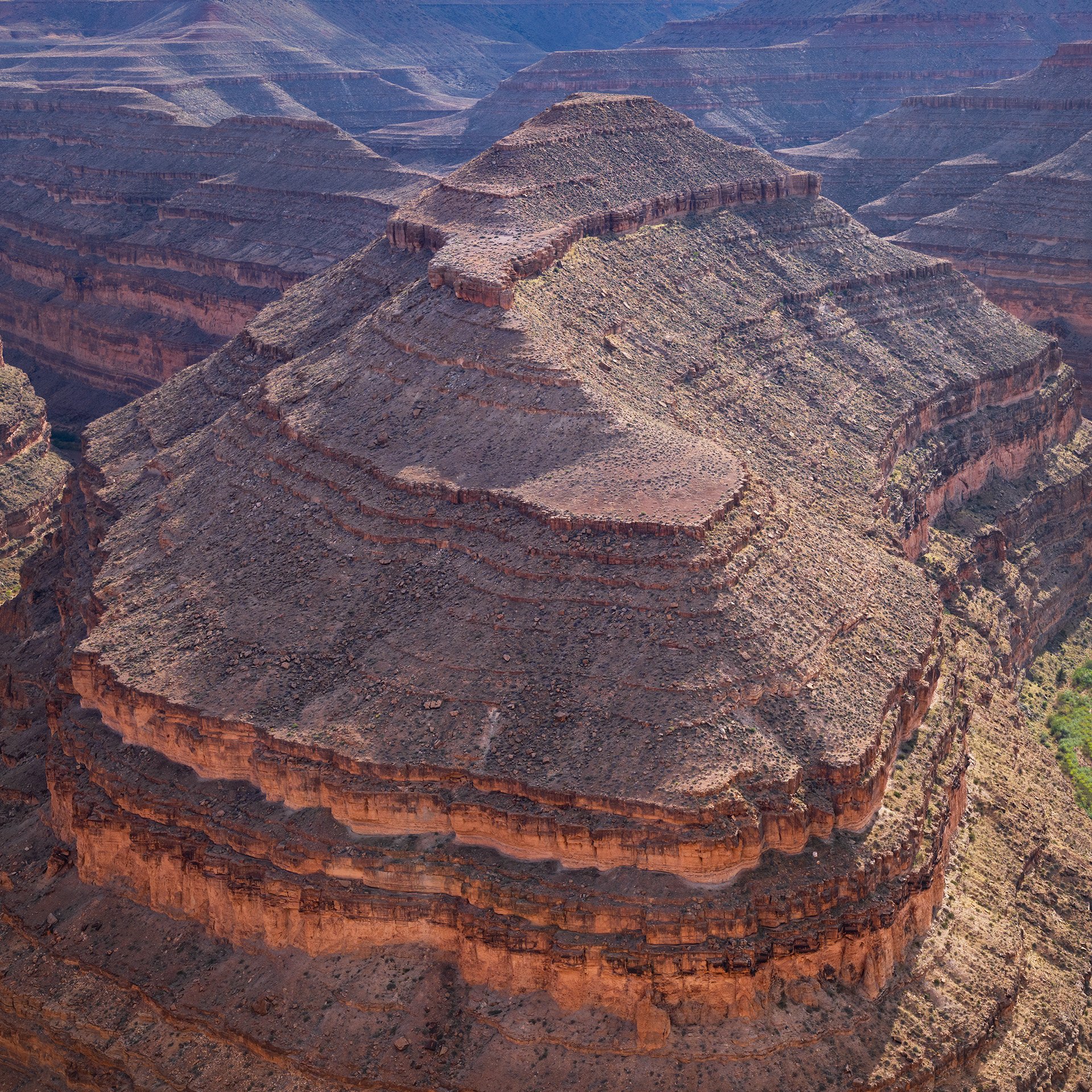 subtraction (2024) #451