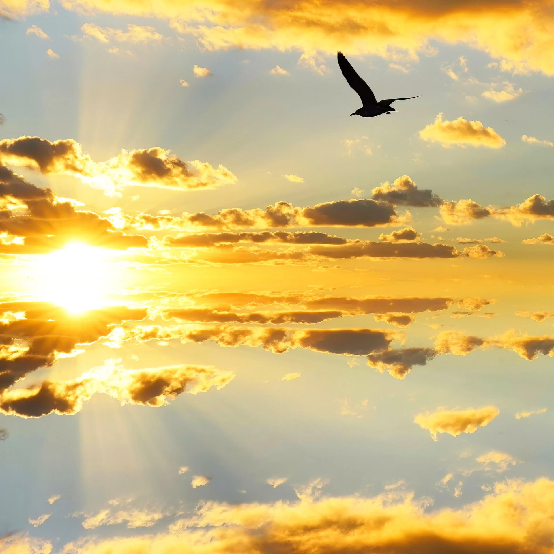 here comes the sun (2023) #337