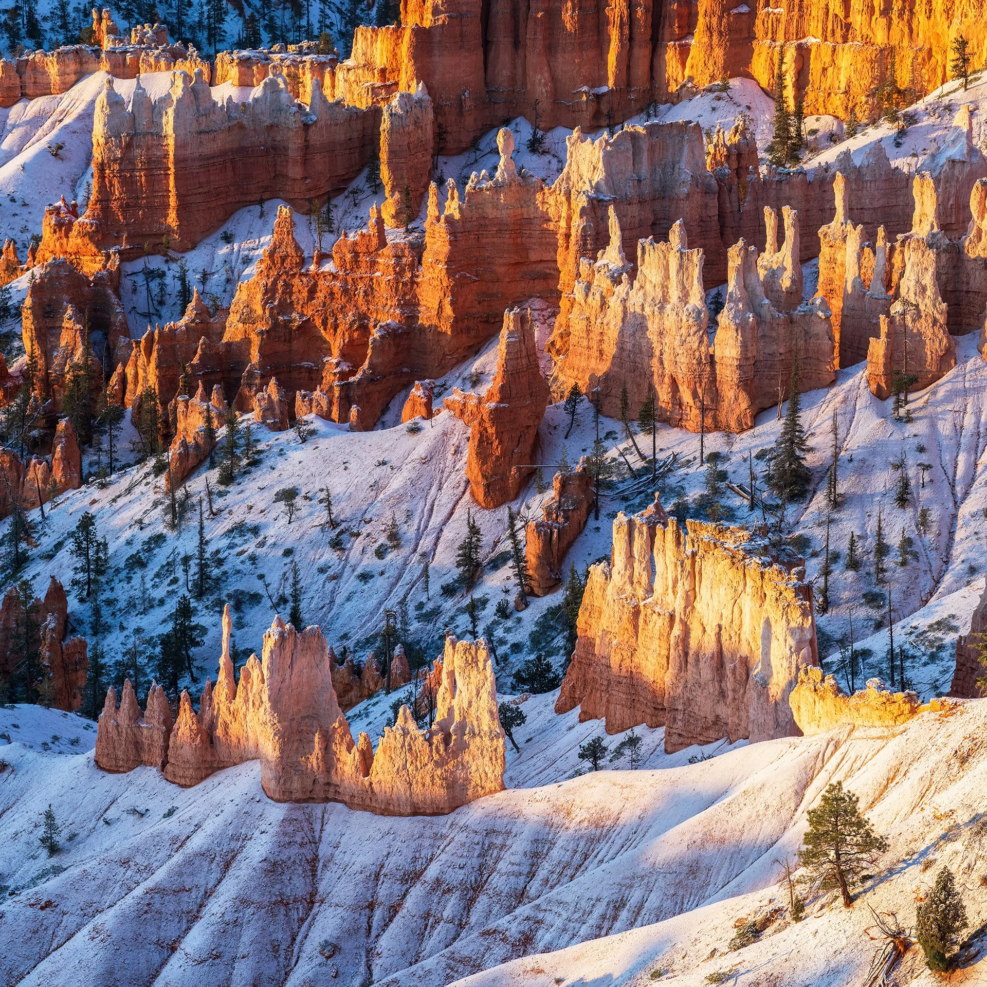 bowl of frosted hoodoos (2024) #422