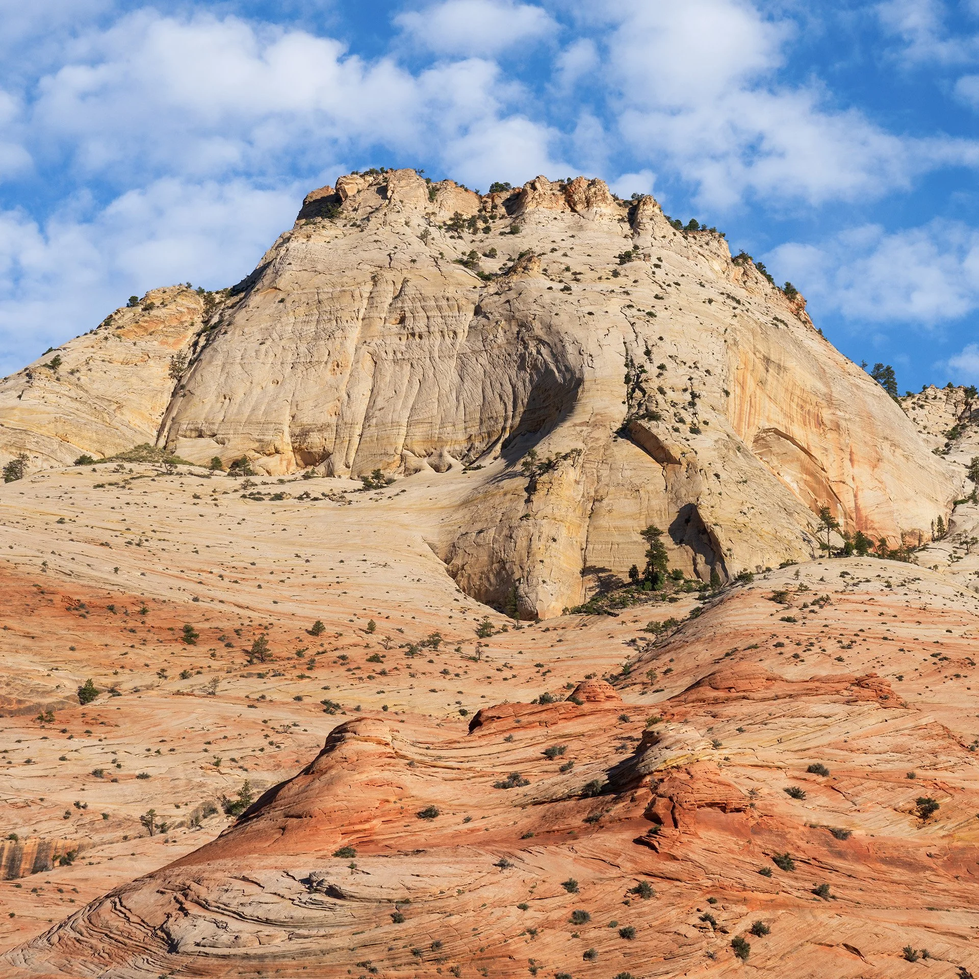 swirling (2024) #449