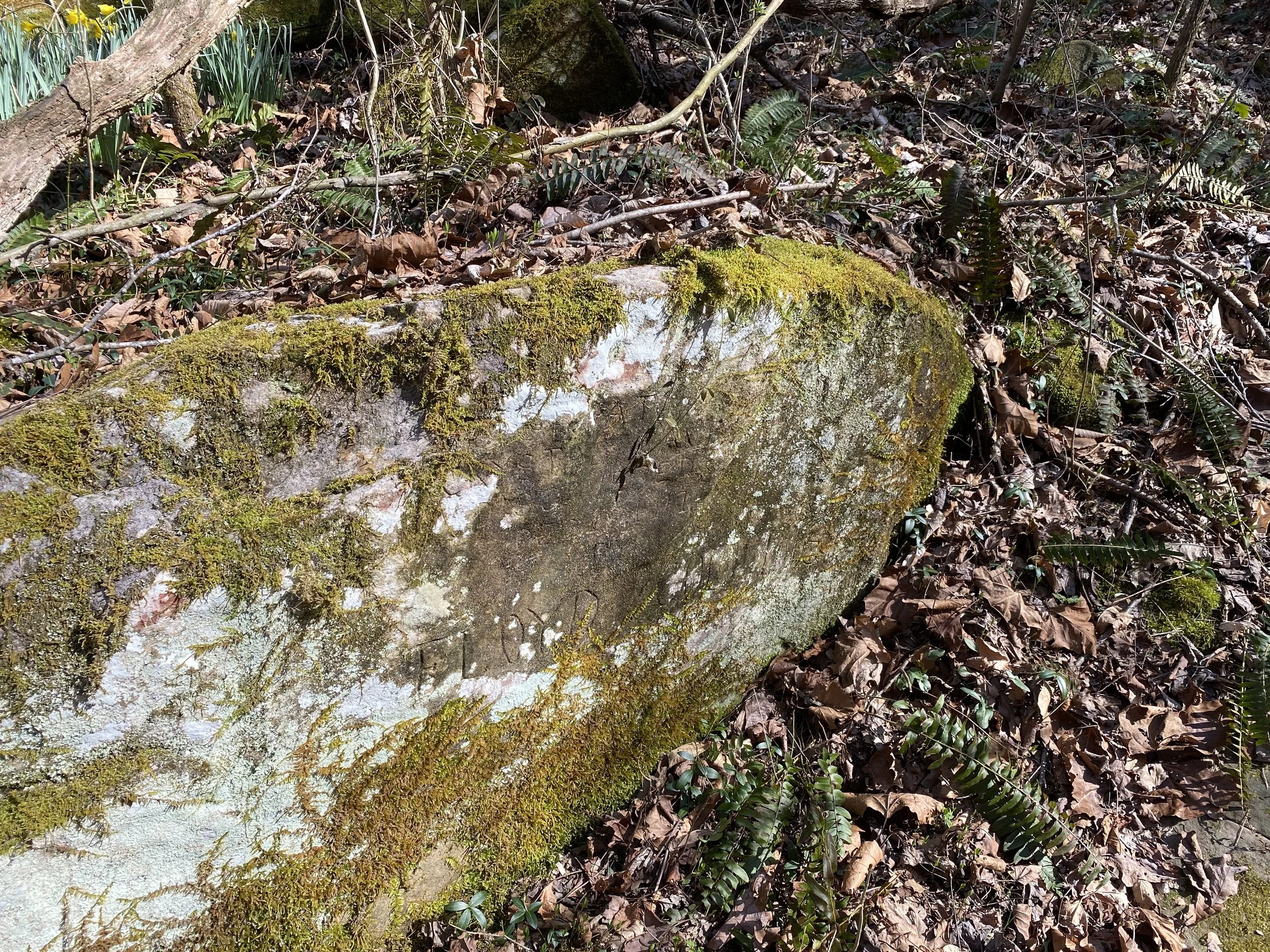 Floyd Collin's Crystal Cave